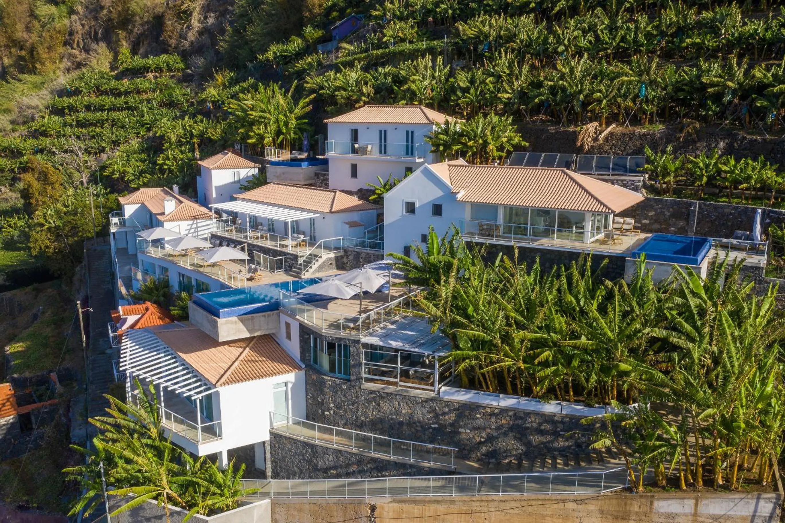 Bird's eye view in Escarpa - The Madeira Hideaway