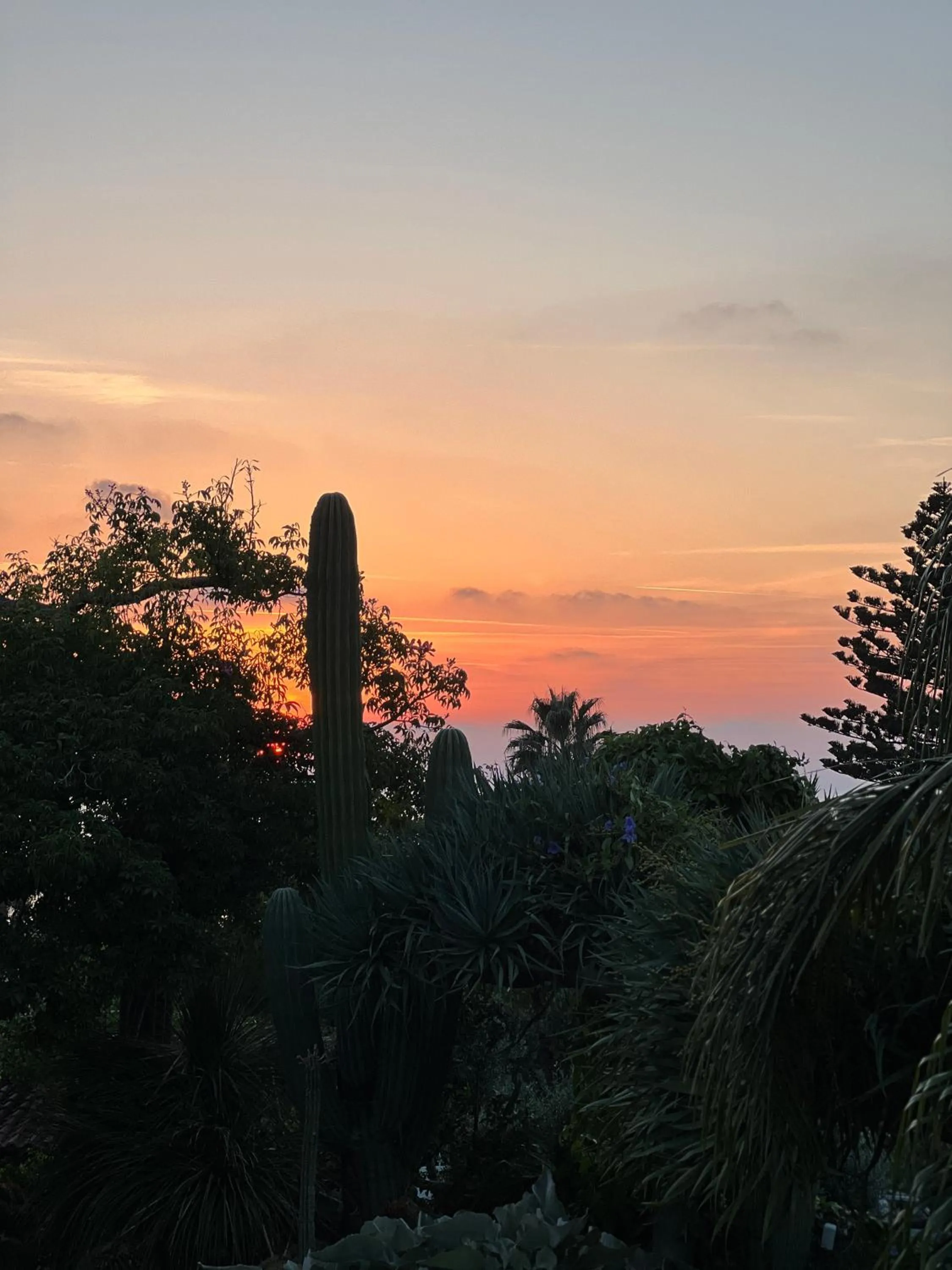 Garden in Villa Ravino Secret Retreat