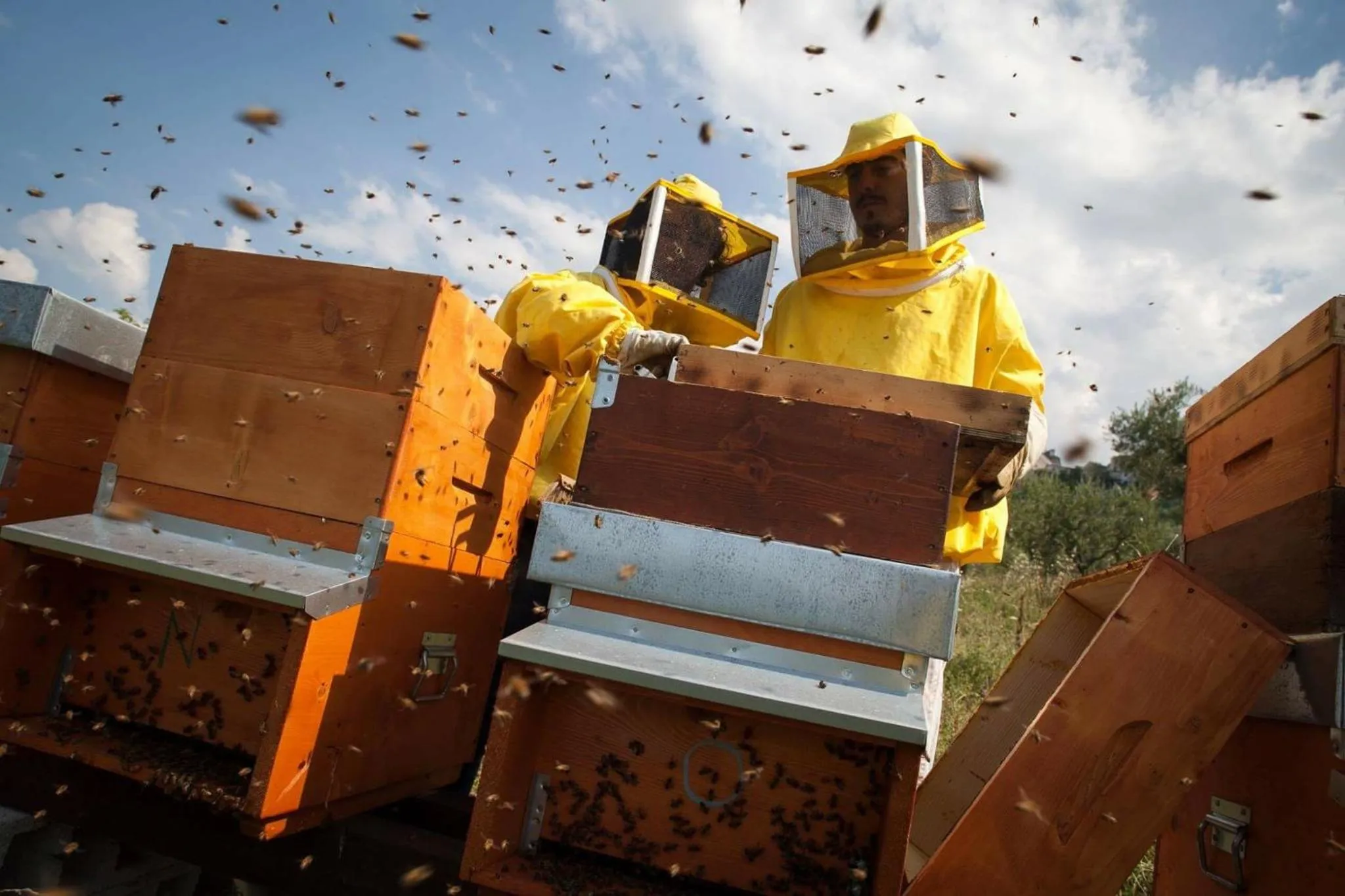 Other in Albergo Diffuso Sotto Le Stelle
