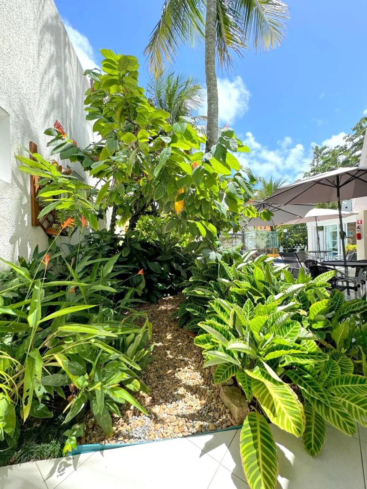 Garden in Pousada Village Cozumel