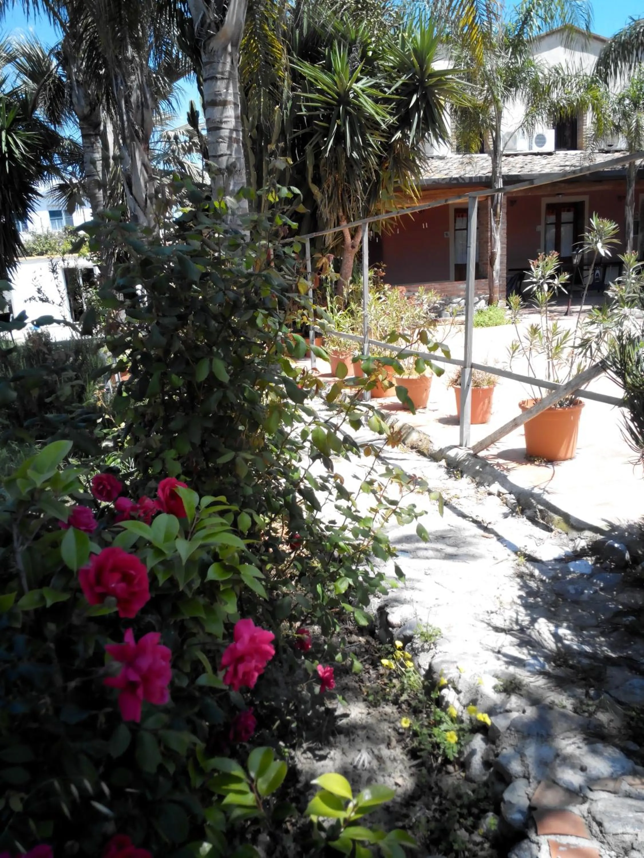 Garden in Casantica Turismo Rurale