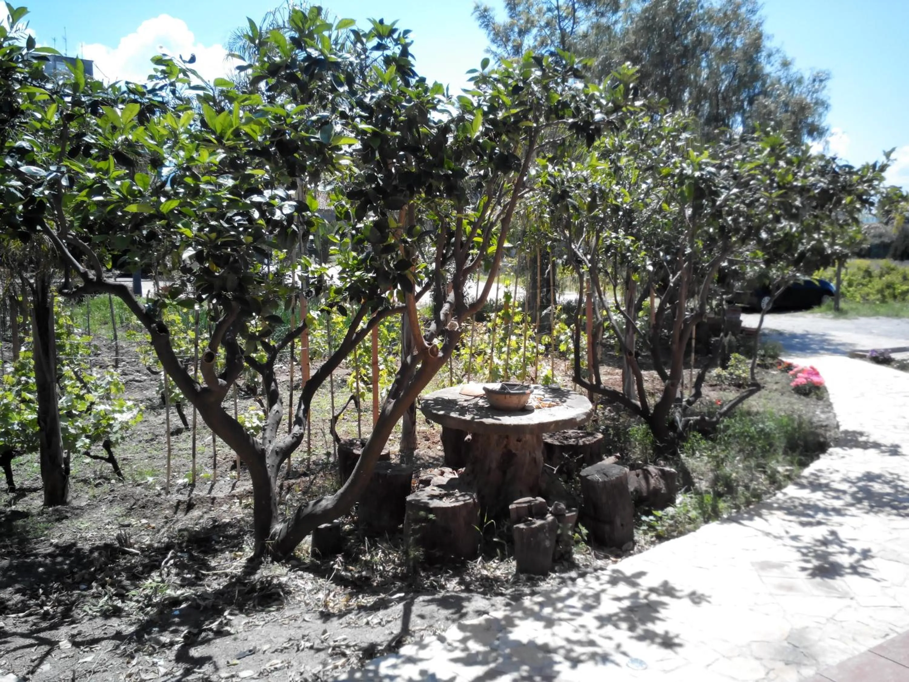 Garden in Casantica Turismo Rurale