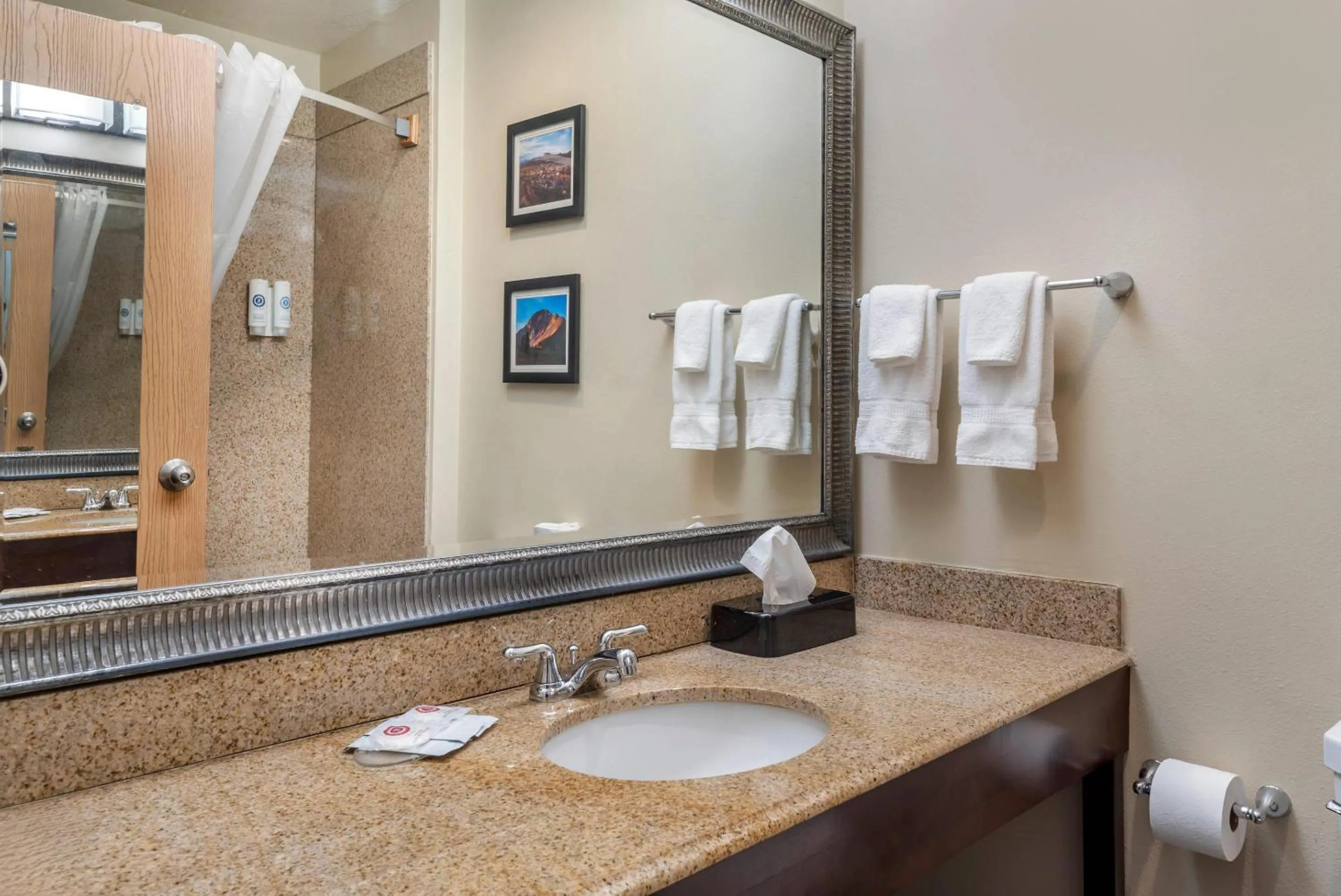 Bedroom in Comfort Inn & Suites Durango