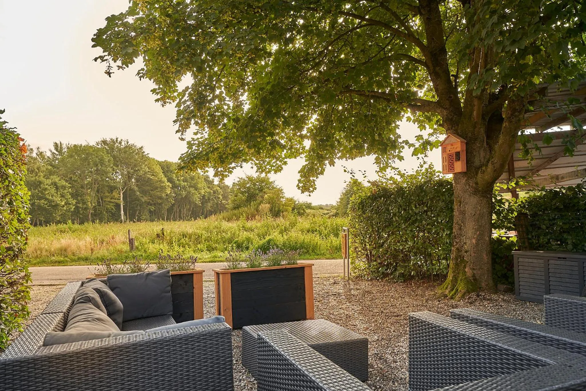 Garden in B B Huize Hooijer