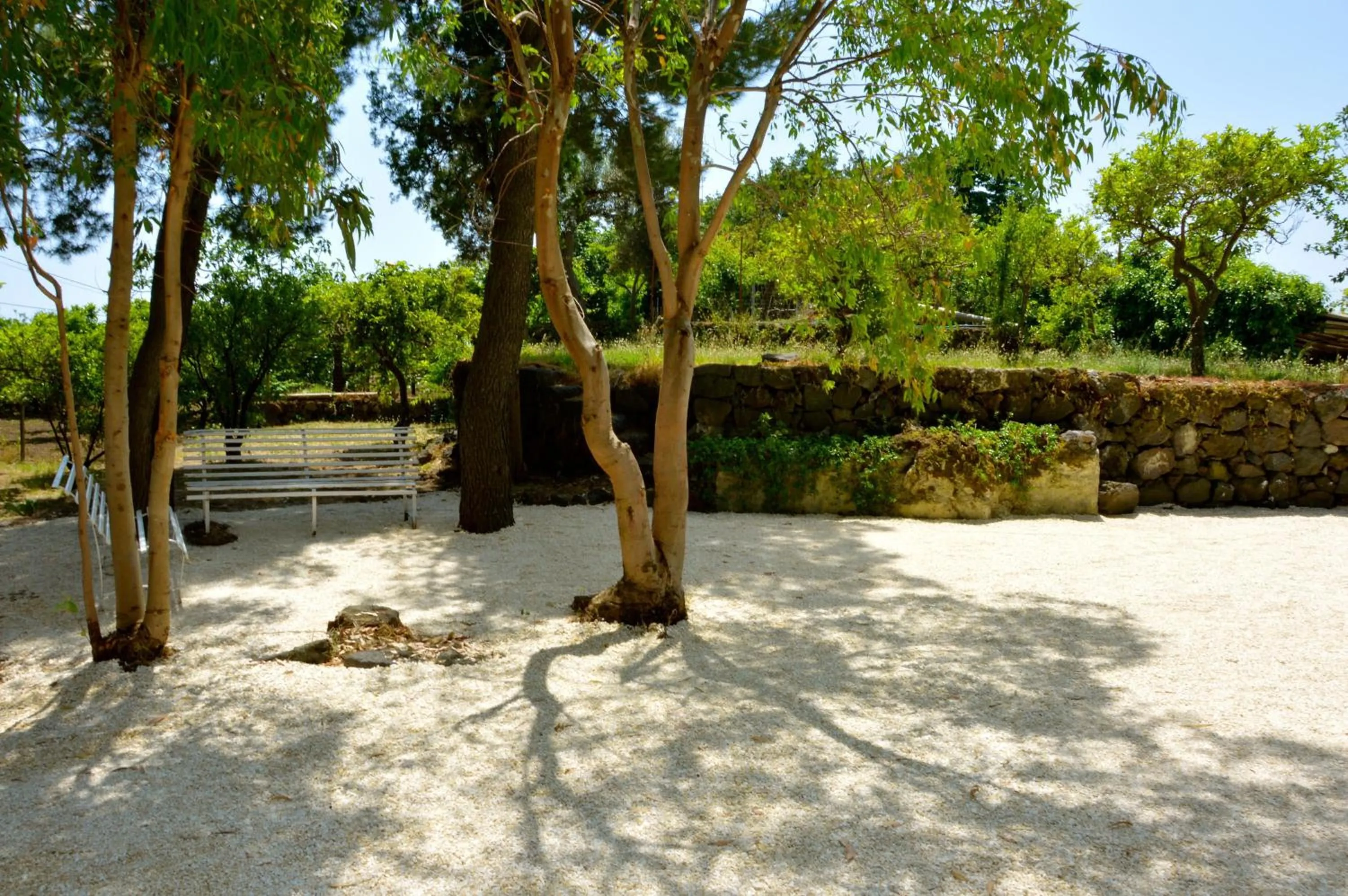 Facade/entrance in Villa Bonaccorso - antica e maestosa villa con piscina ai piedi dell'Etna
