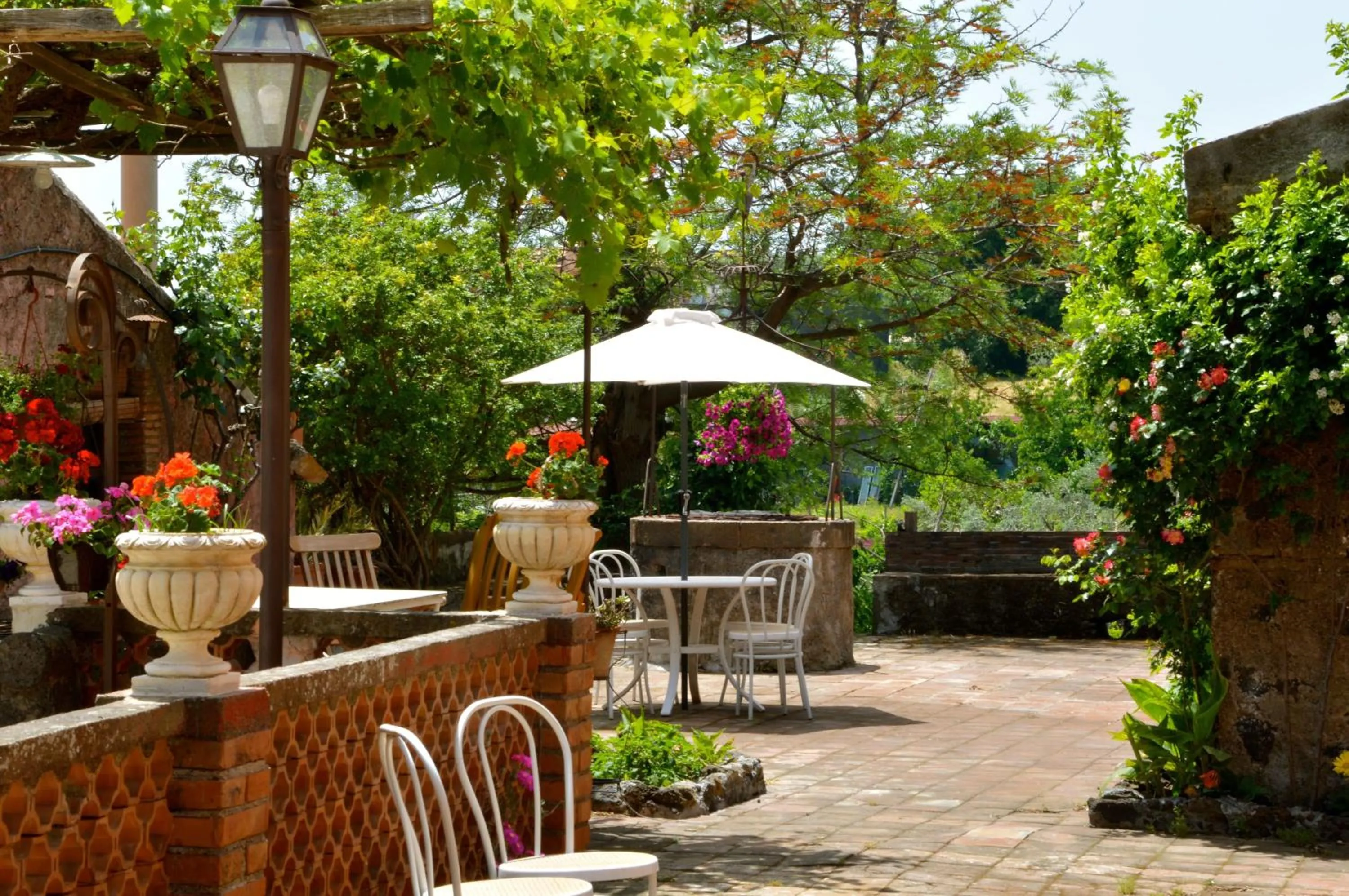 Garden in Villa Bonaccorso - antica e maestosa villa con piscina ai piedi dell'Etna