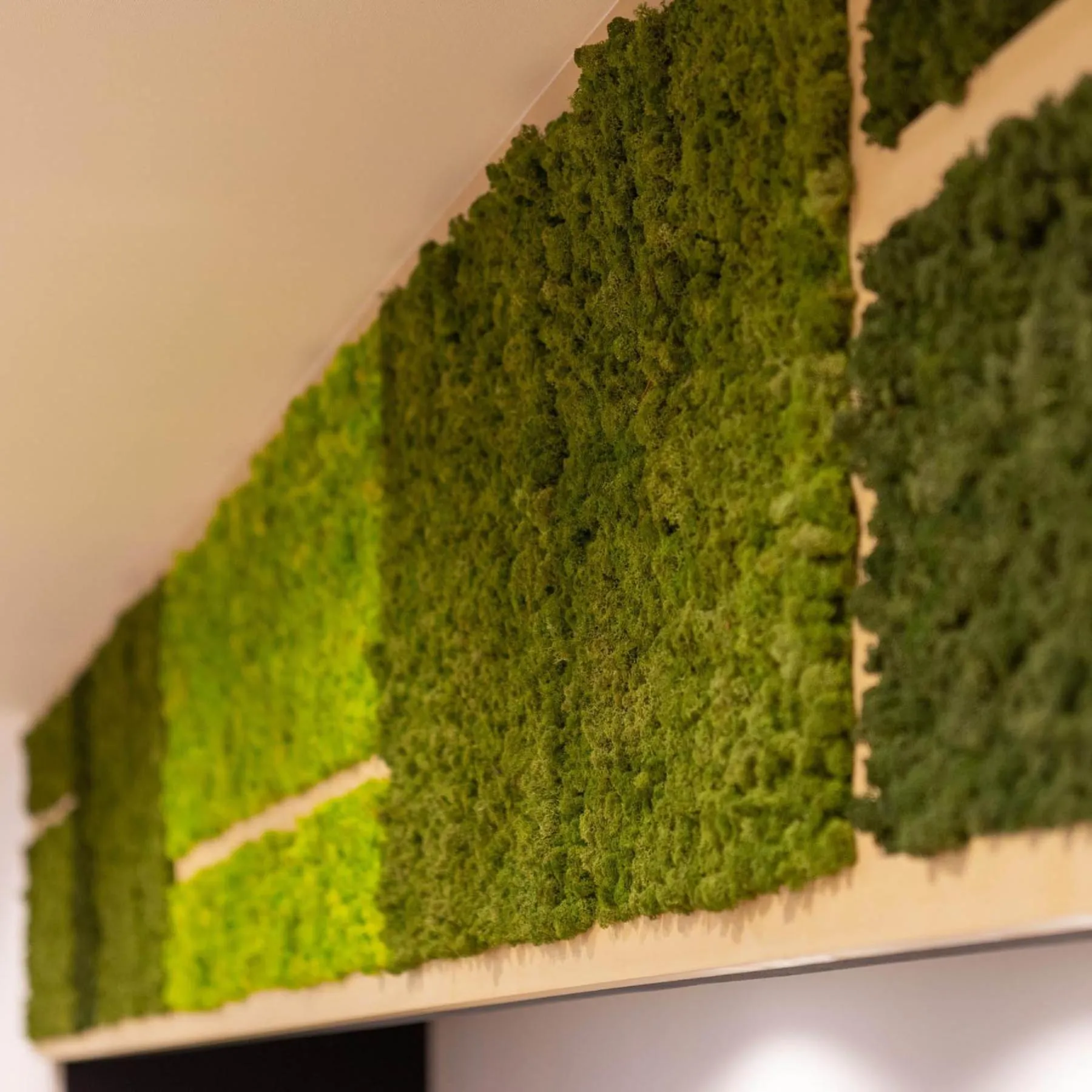 Super Hotel Echizen Takefu