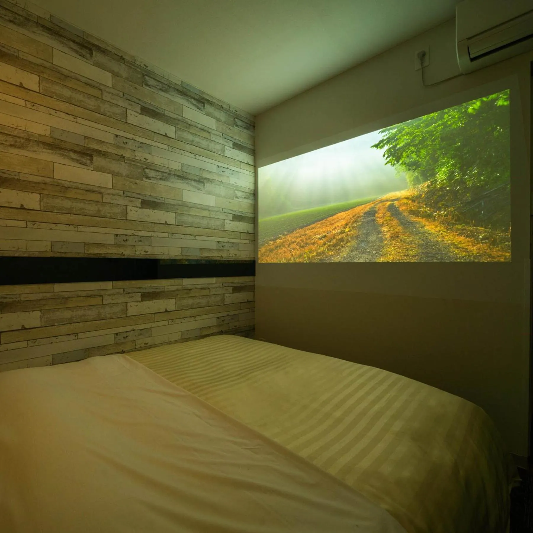 Photo of the whole room in Super Hotel Echizen Takefu