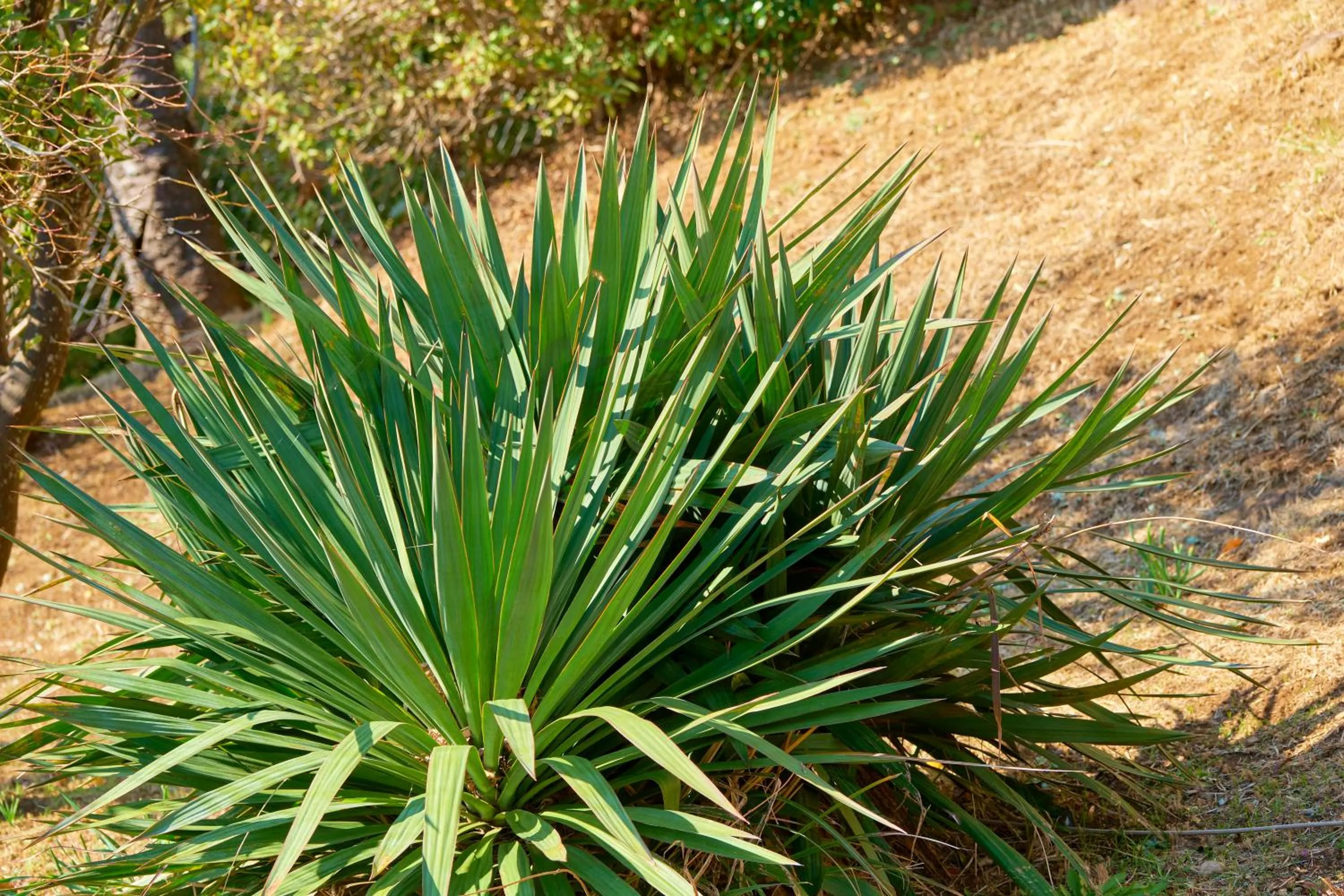 Ryokan -Suikoen- by Tranova