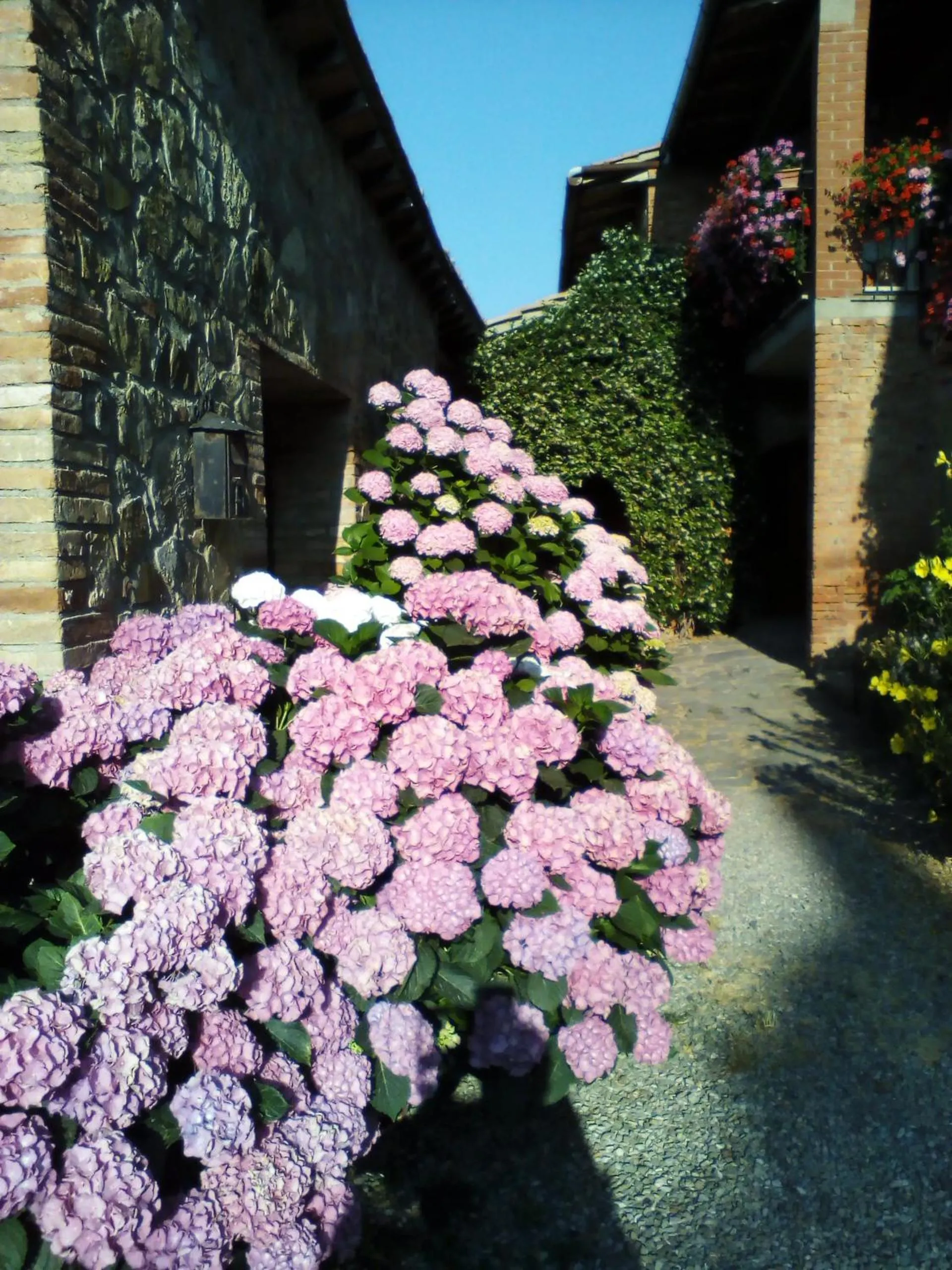 Poggio Al Vento