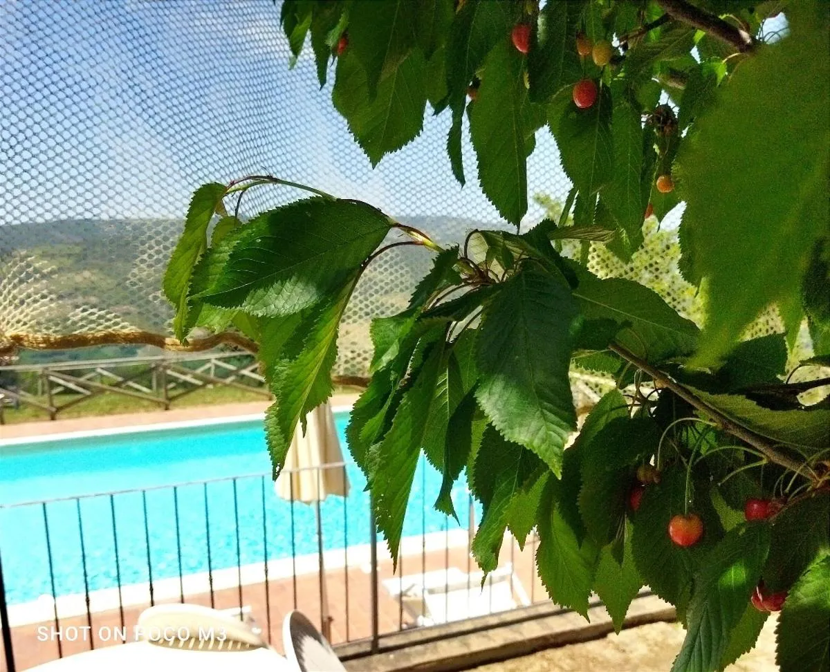 Poggio Al Vento