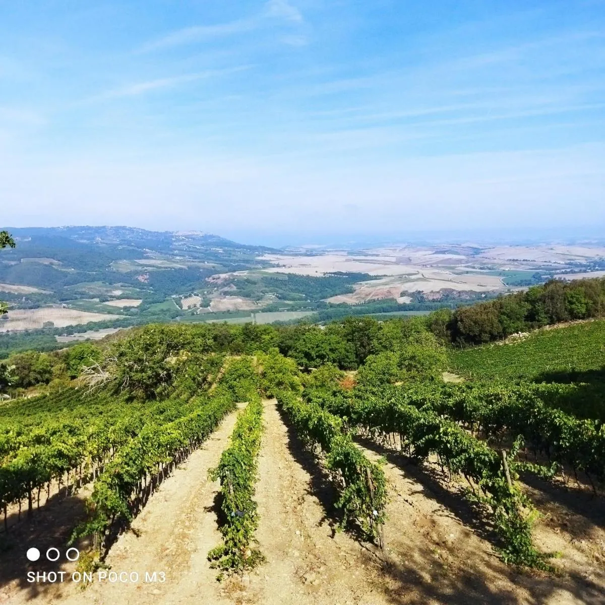 Poggio Al Vento