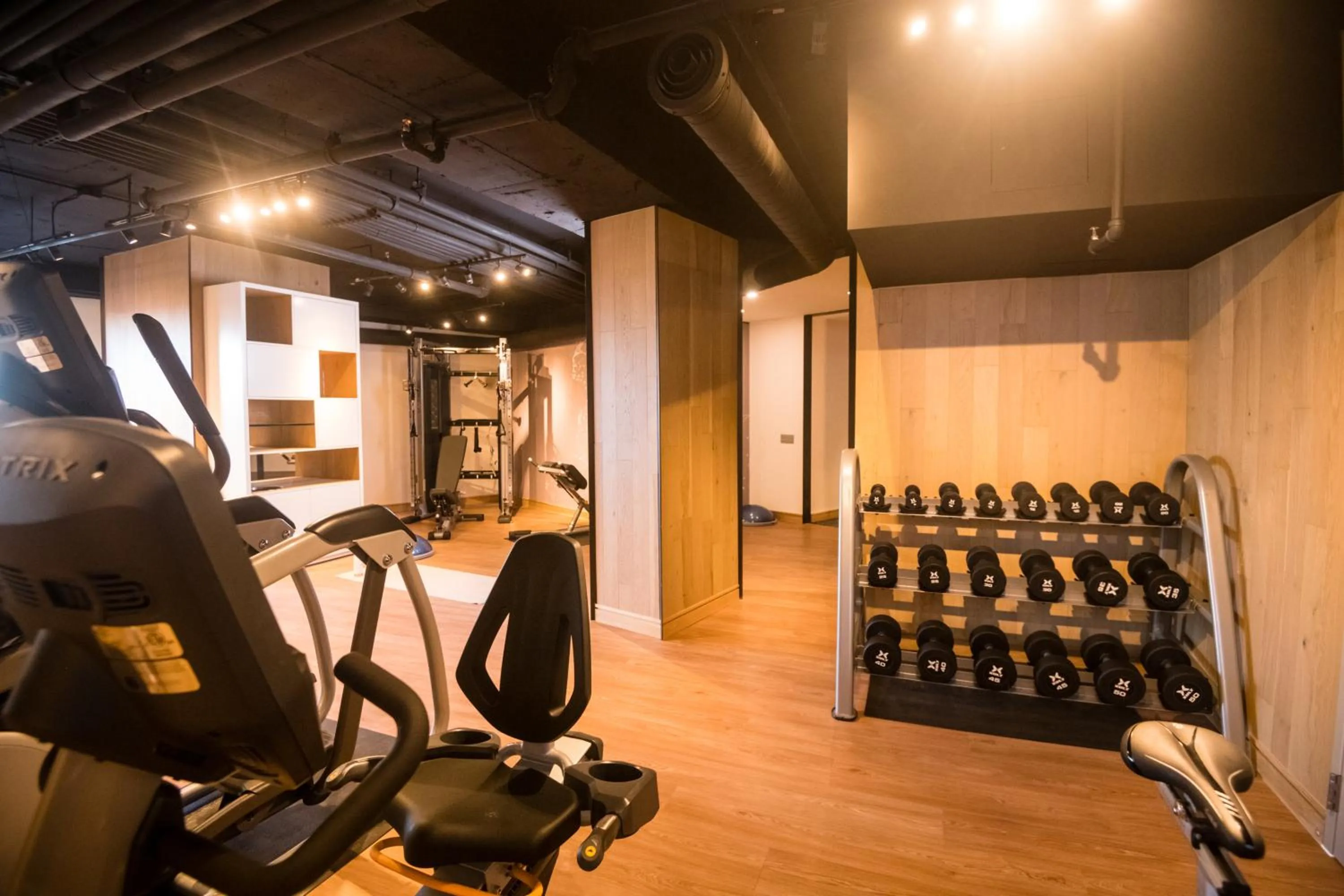 Fitness centre/facilities in The Windsor Suites