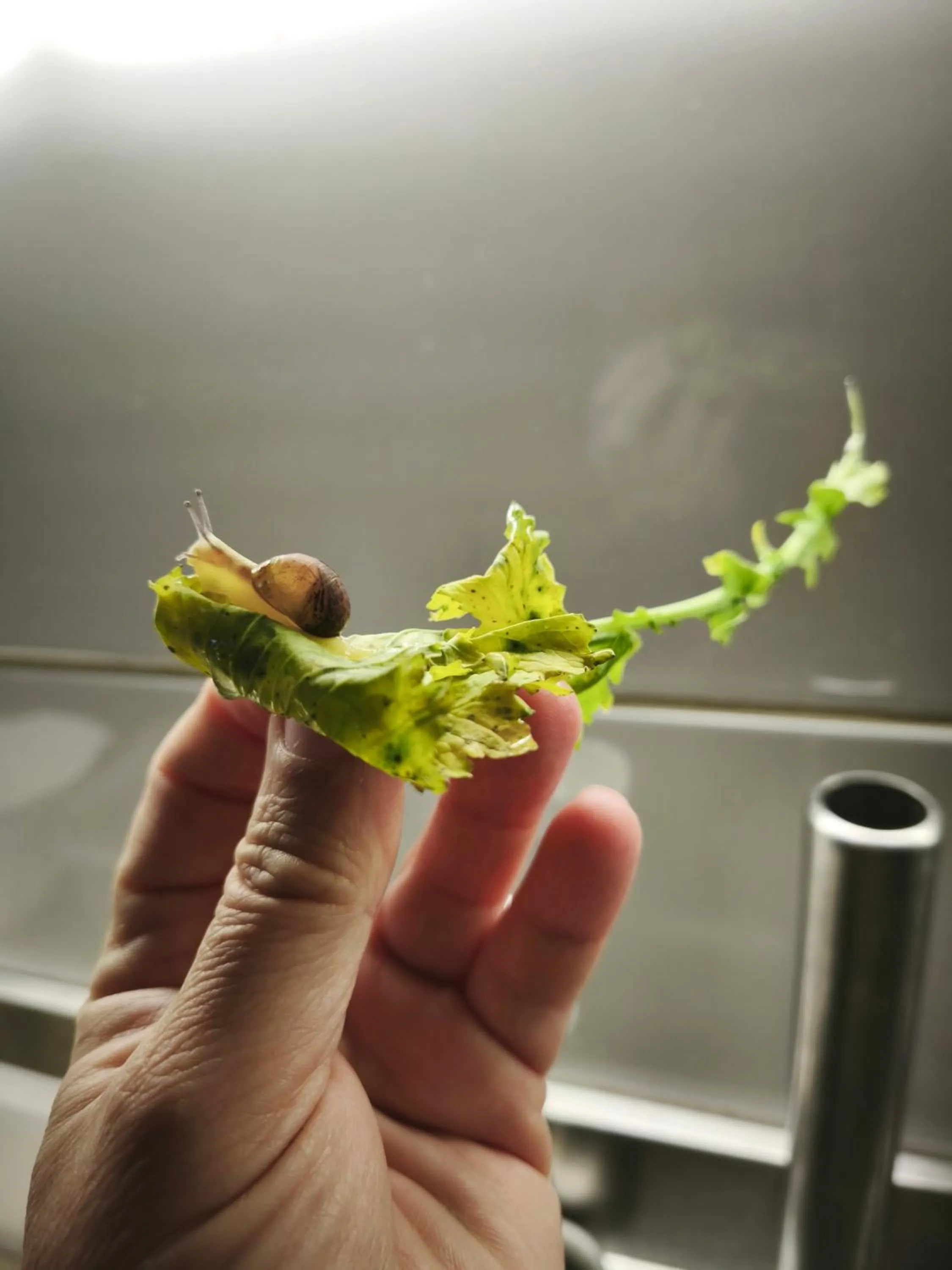 kitchen in Hotel e Residence Il Faro Acciaroli