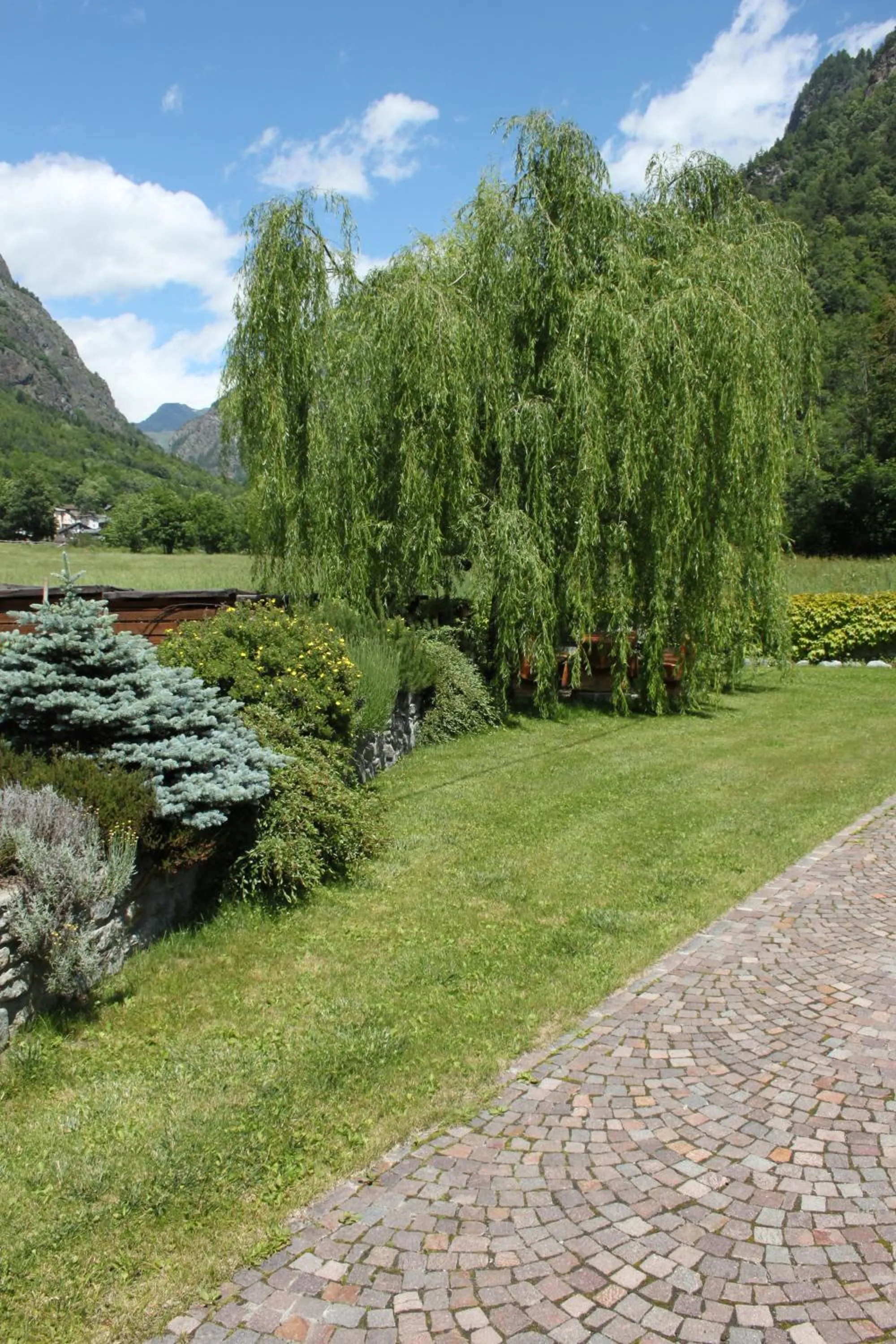 Hotel Des Roses