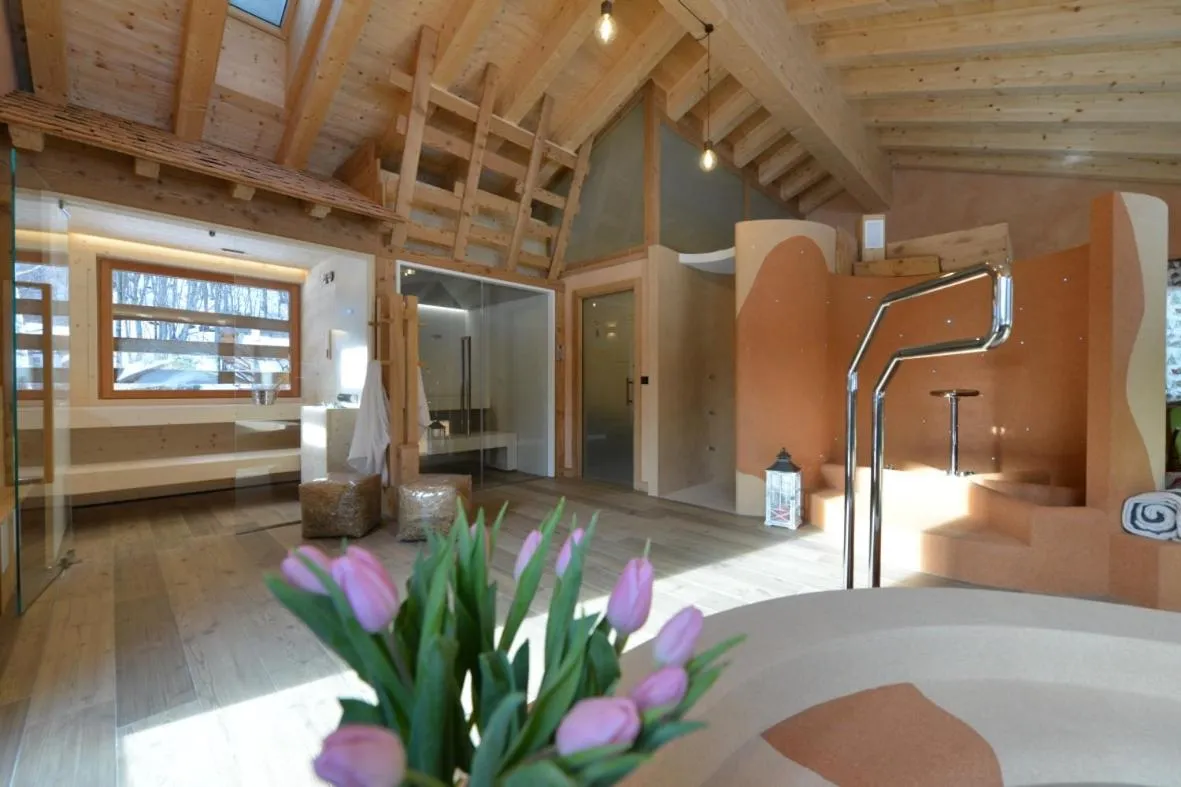 Spa and wellness centre/facilities in Hotel Des Roses