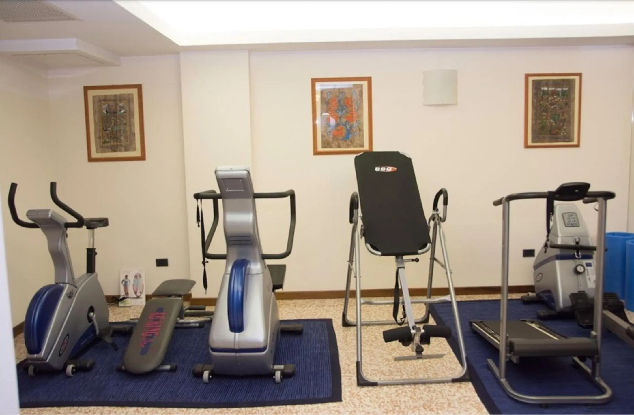 Fitness centre/facilities in Hotel Piroga Padova