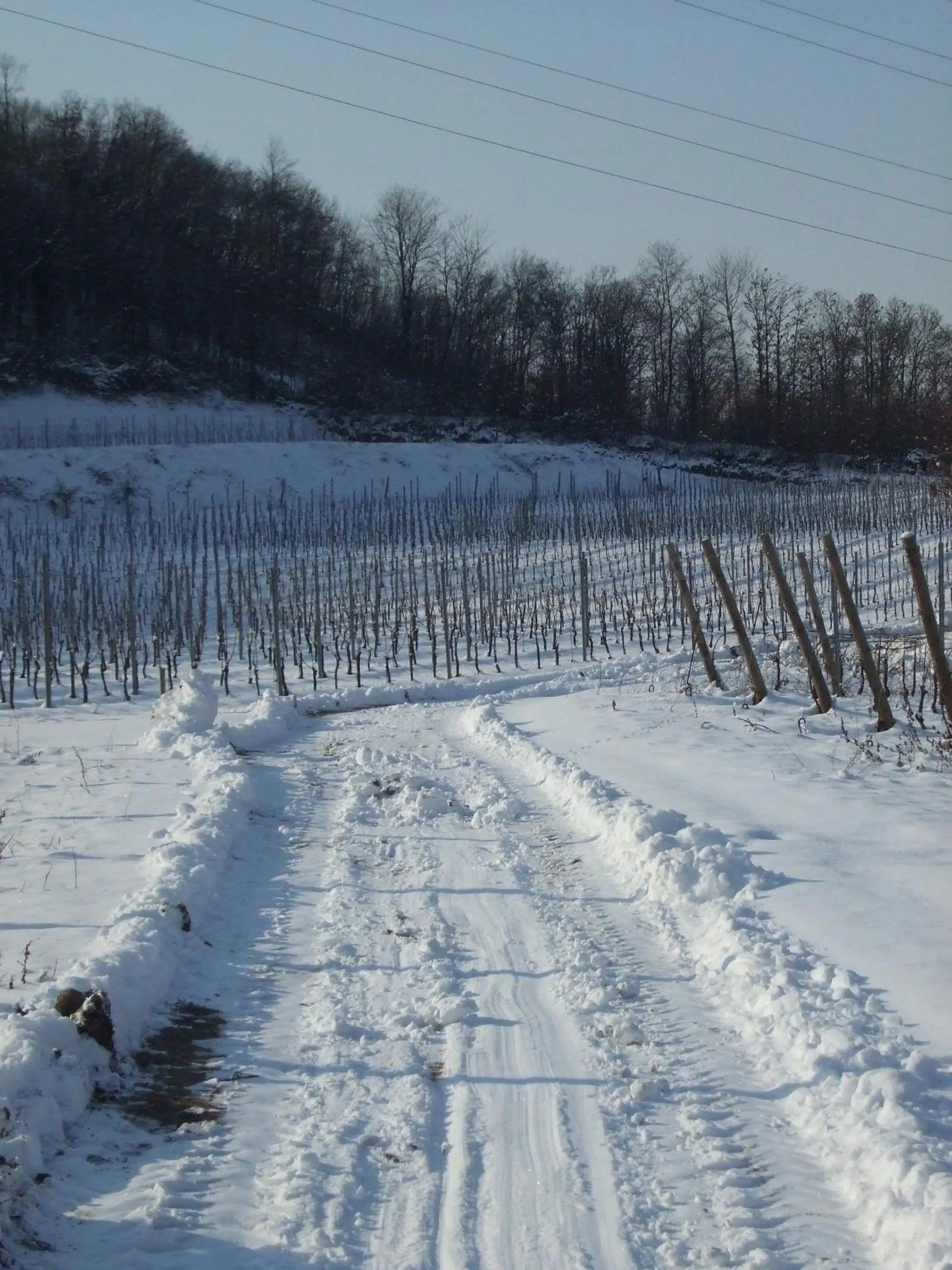 Area and facilities in Agriturismo Cascina Rossano