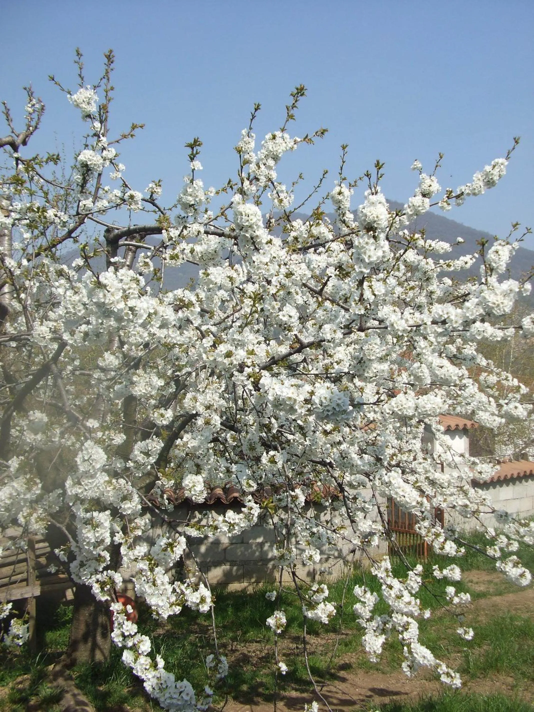 Other in Agriturismo Cascina Rossano