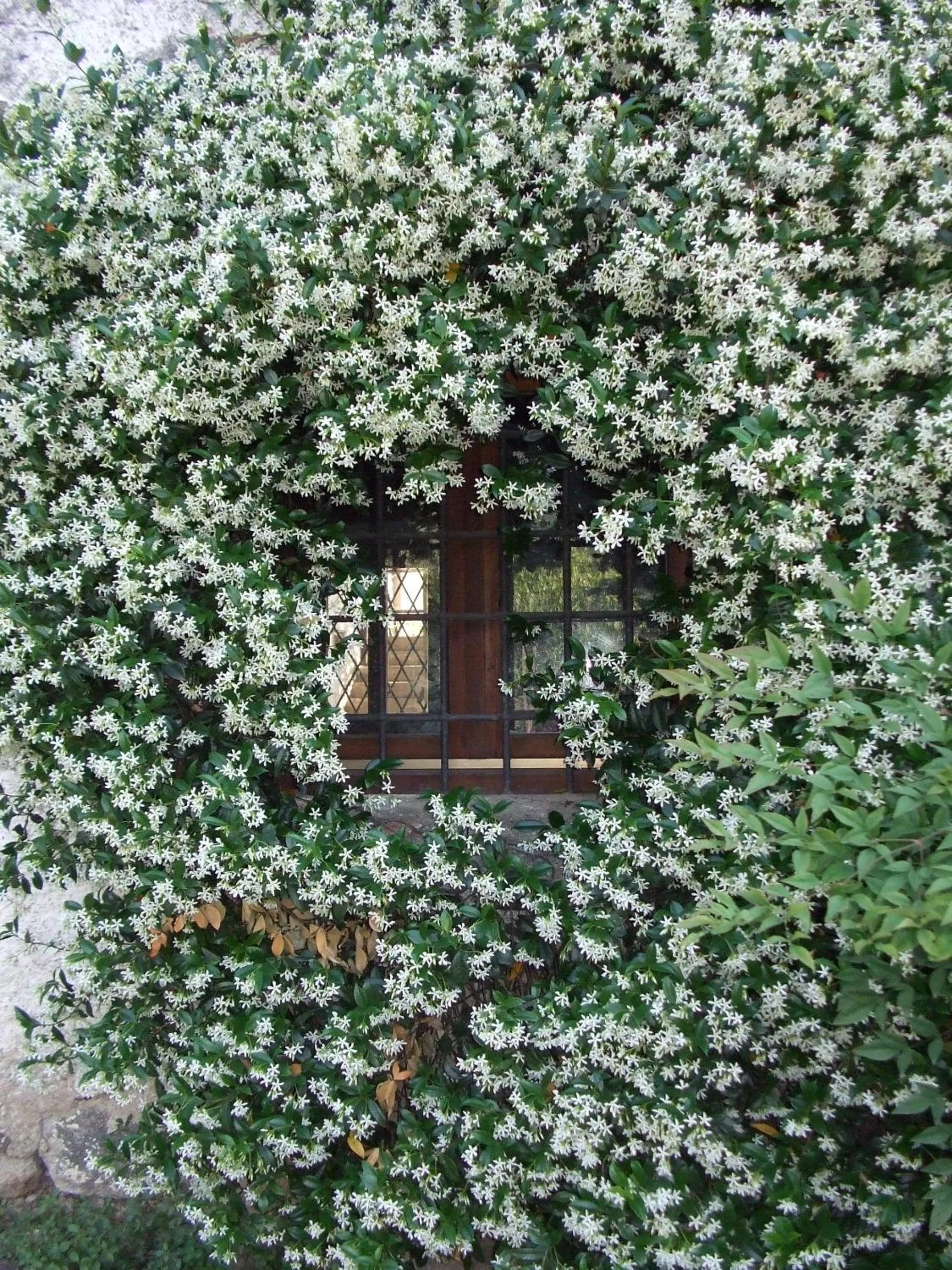 Facade/entrance in Agriturismo Cascina Rossano