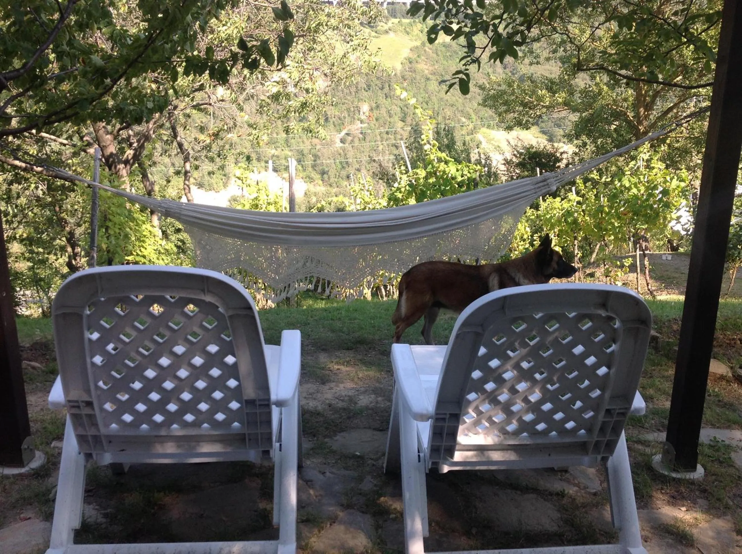 Garden in B&B Bosco Dei Cervi