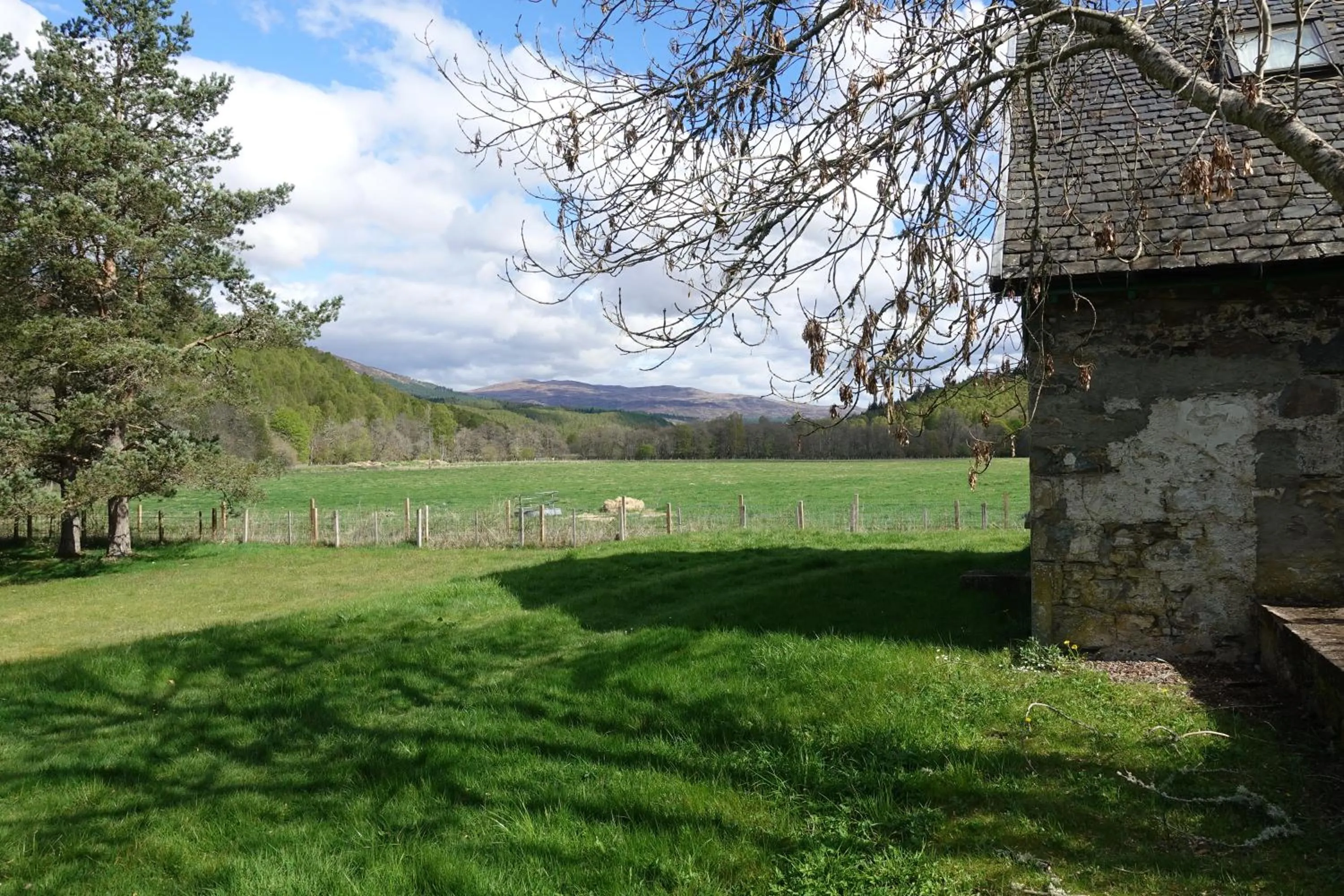 Garden in The Tomich Hotel
