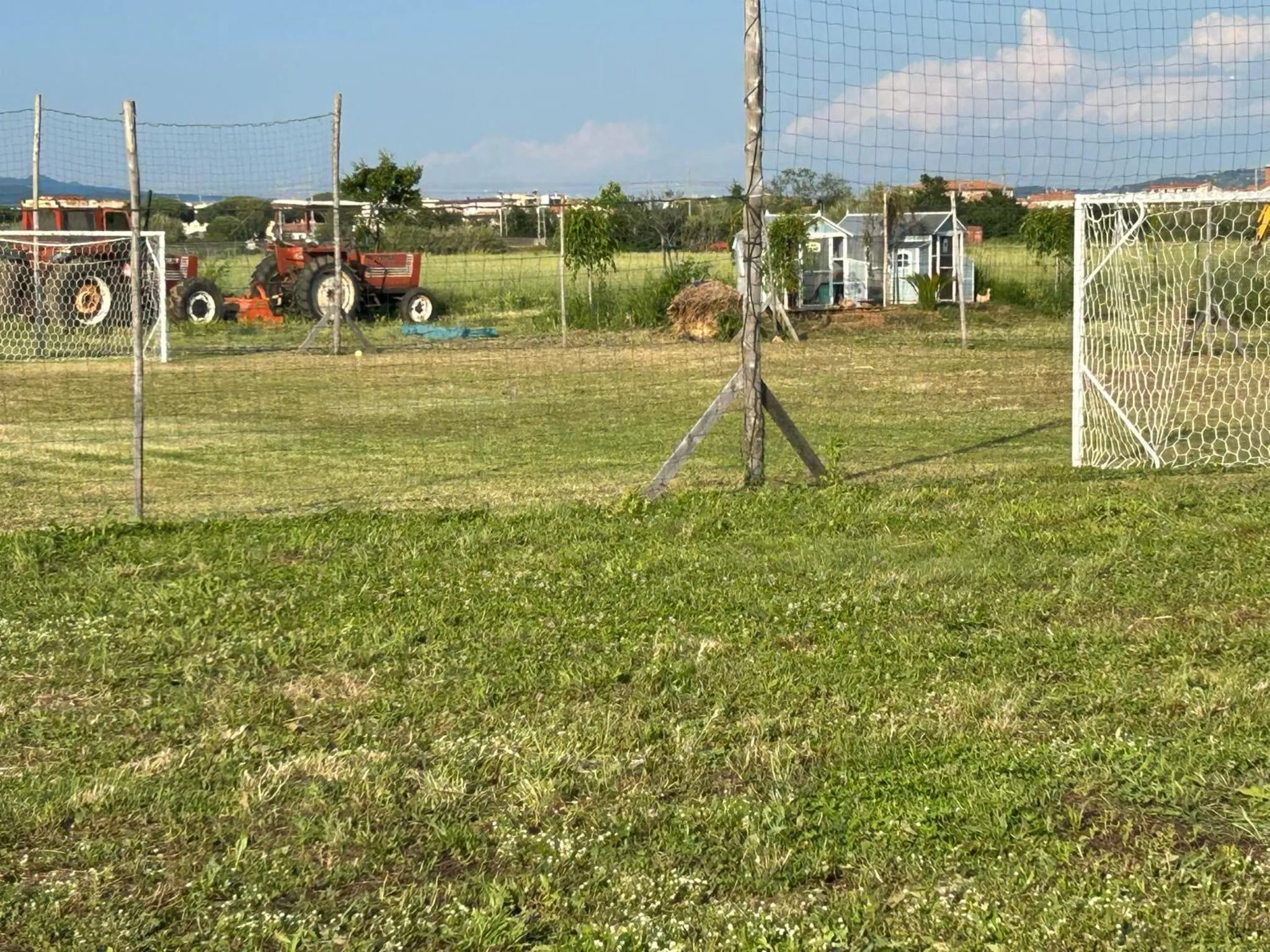 Day in Fattoria Palazzeta - Pet & Family Friendly