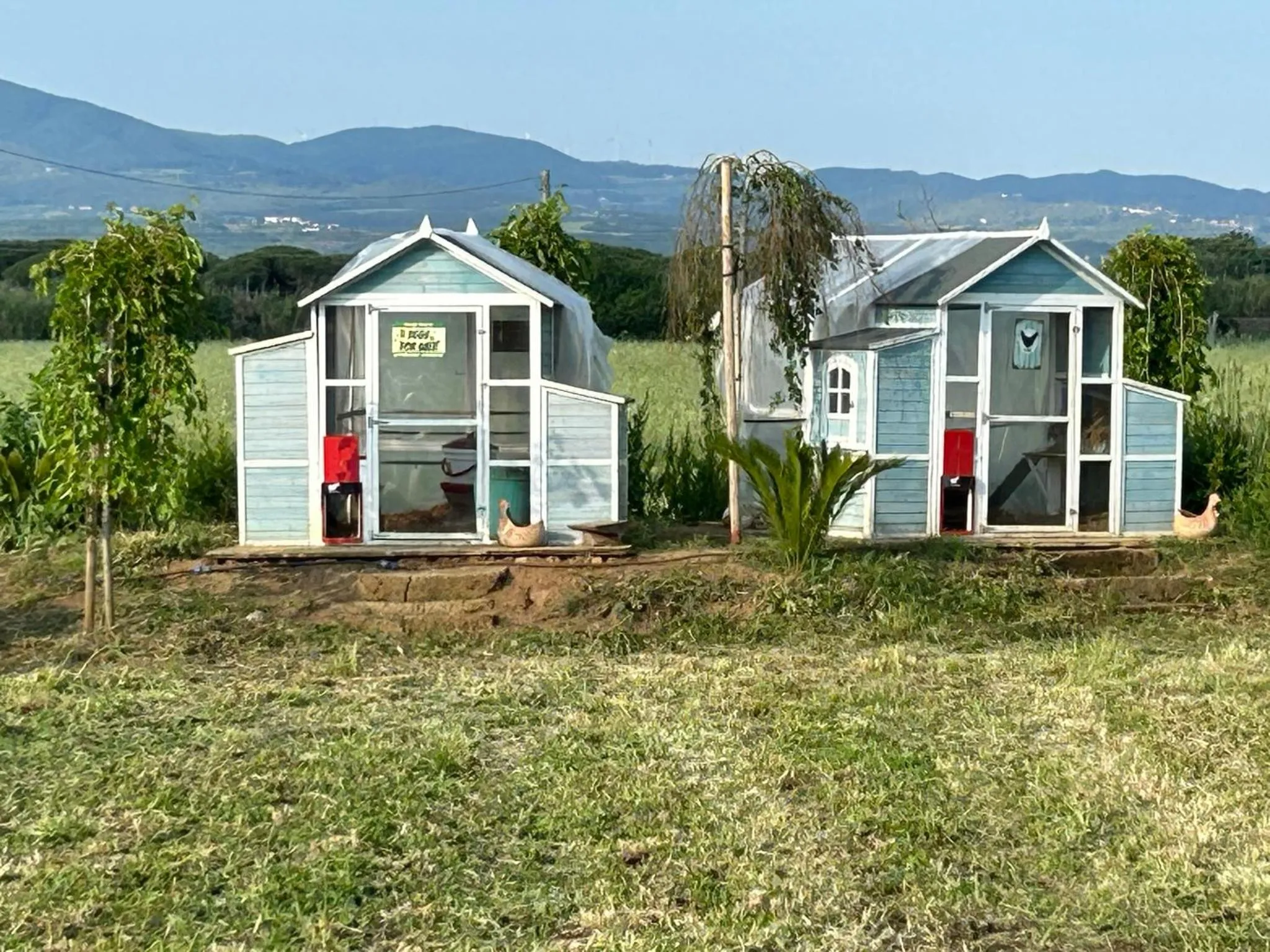 Spring in Fattoria Palazzeta - Pet & Family Friendly