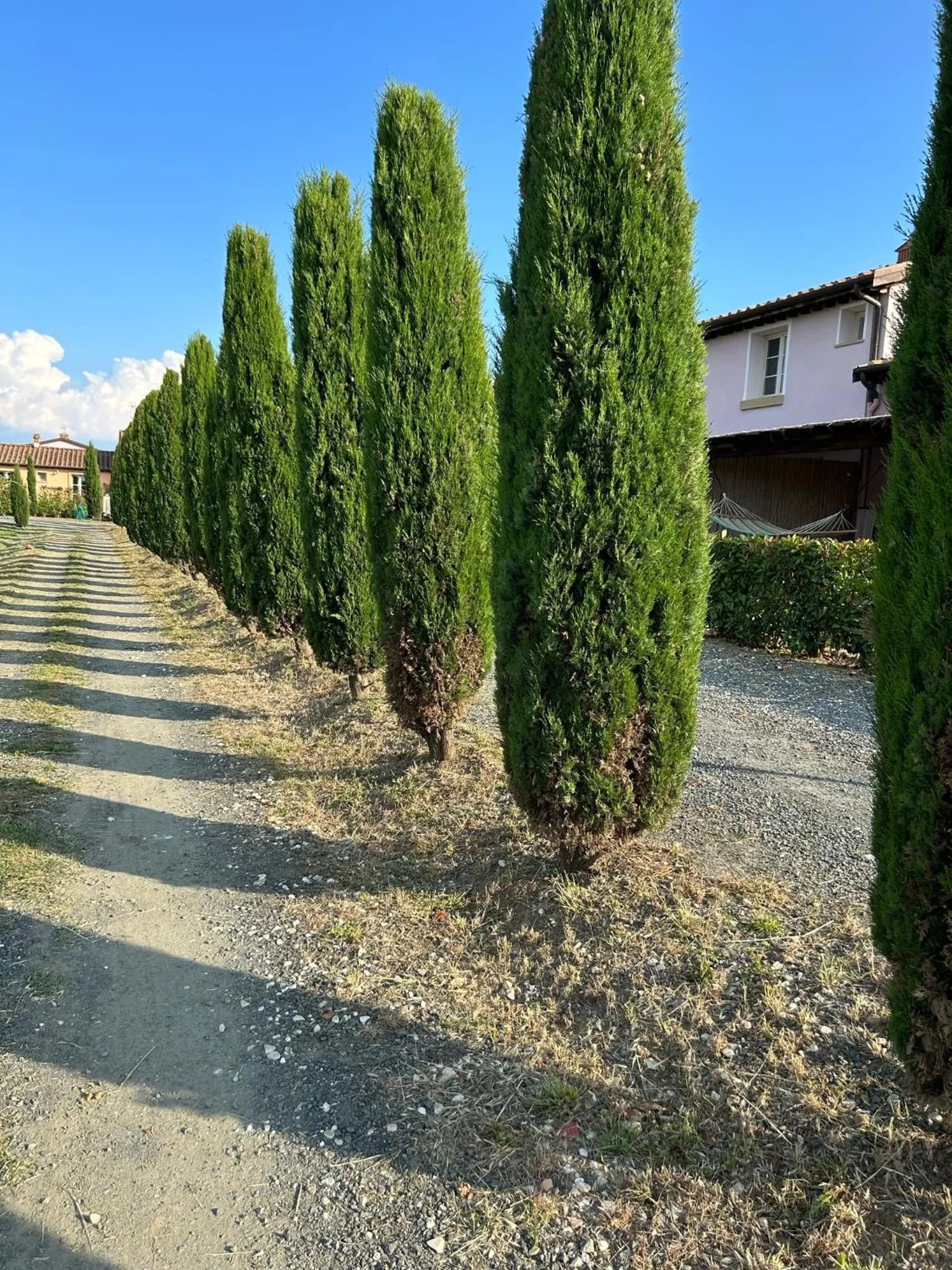 Spring in Fattoria Palazzeta - Pet & Family Friendly