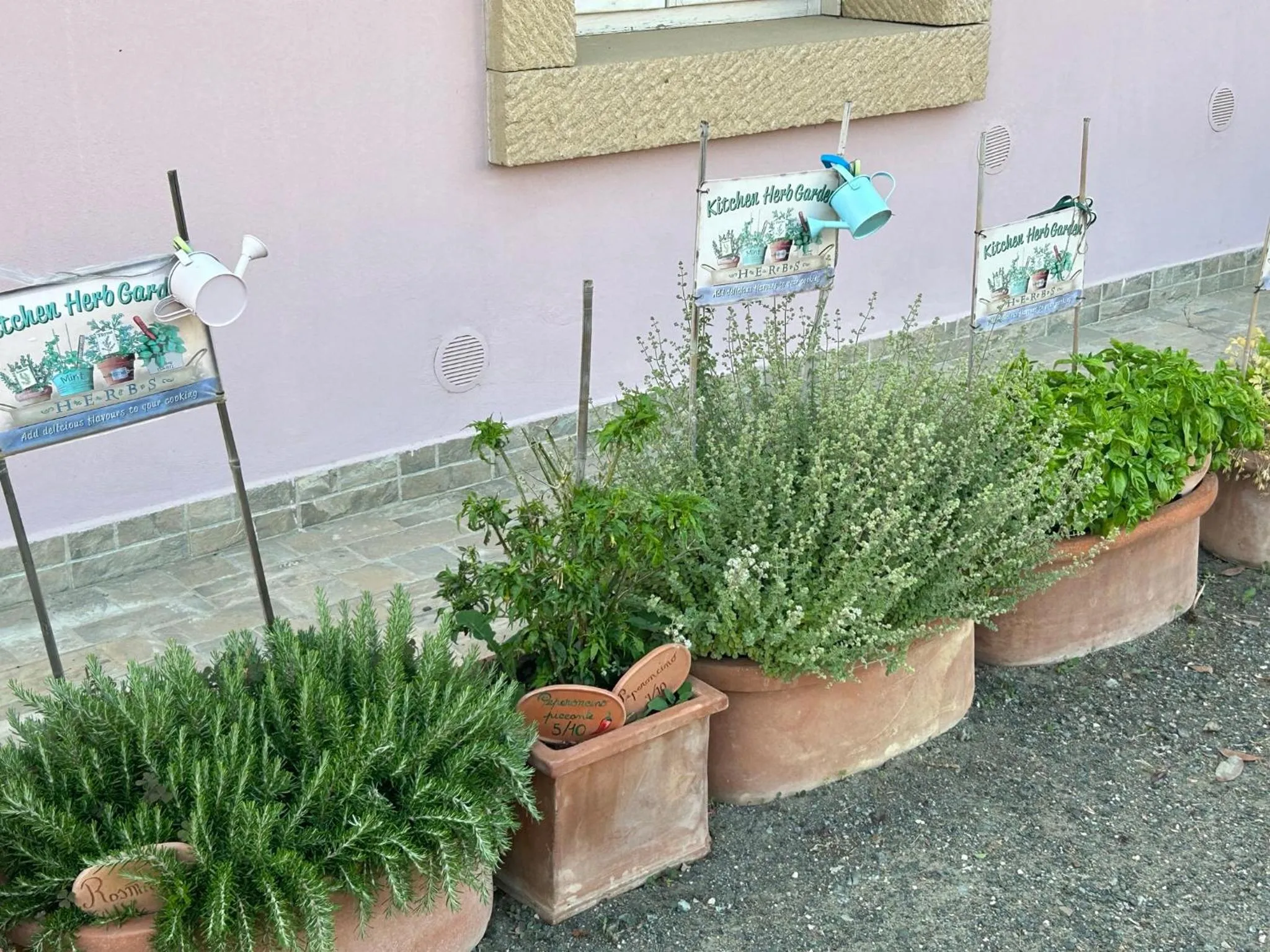 Day in Fattoria Palazzeta - Pet & Family Friendly