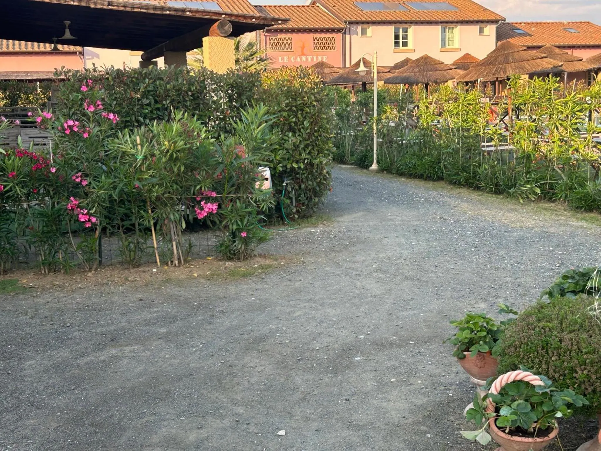 Day in Fattoria Palazzeta - Pet & Family Friendly