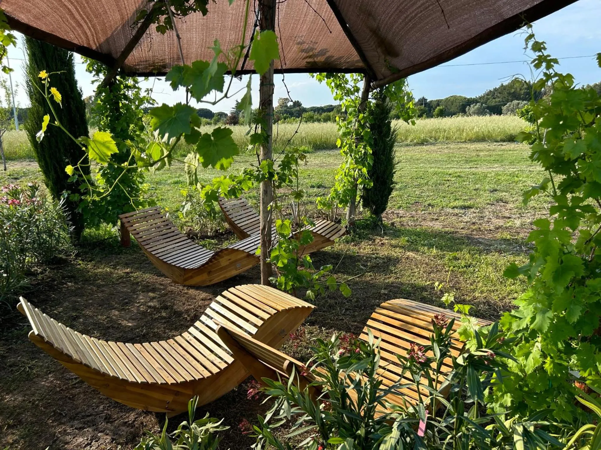 Day in Fattoria Palazzeta - Pet & Family Friendly