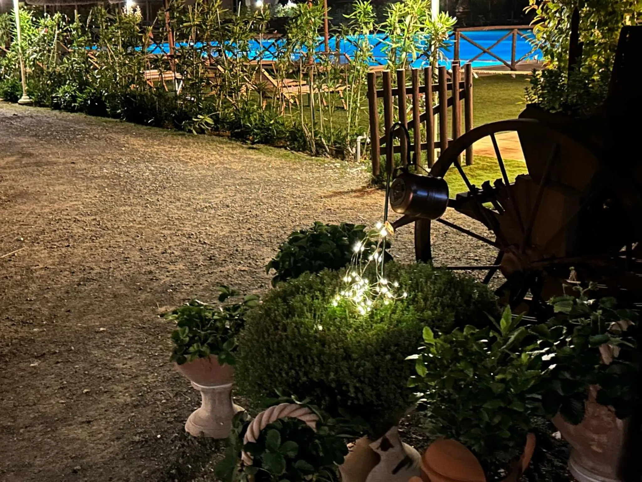 Spring in Fattoria Palazzeta - Pet & Family Friendly