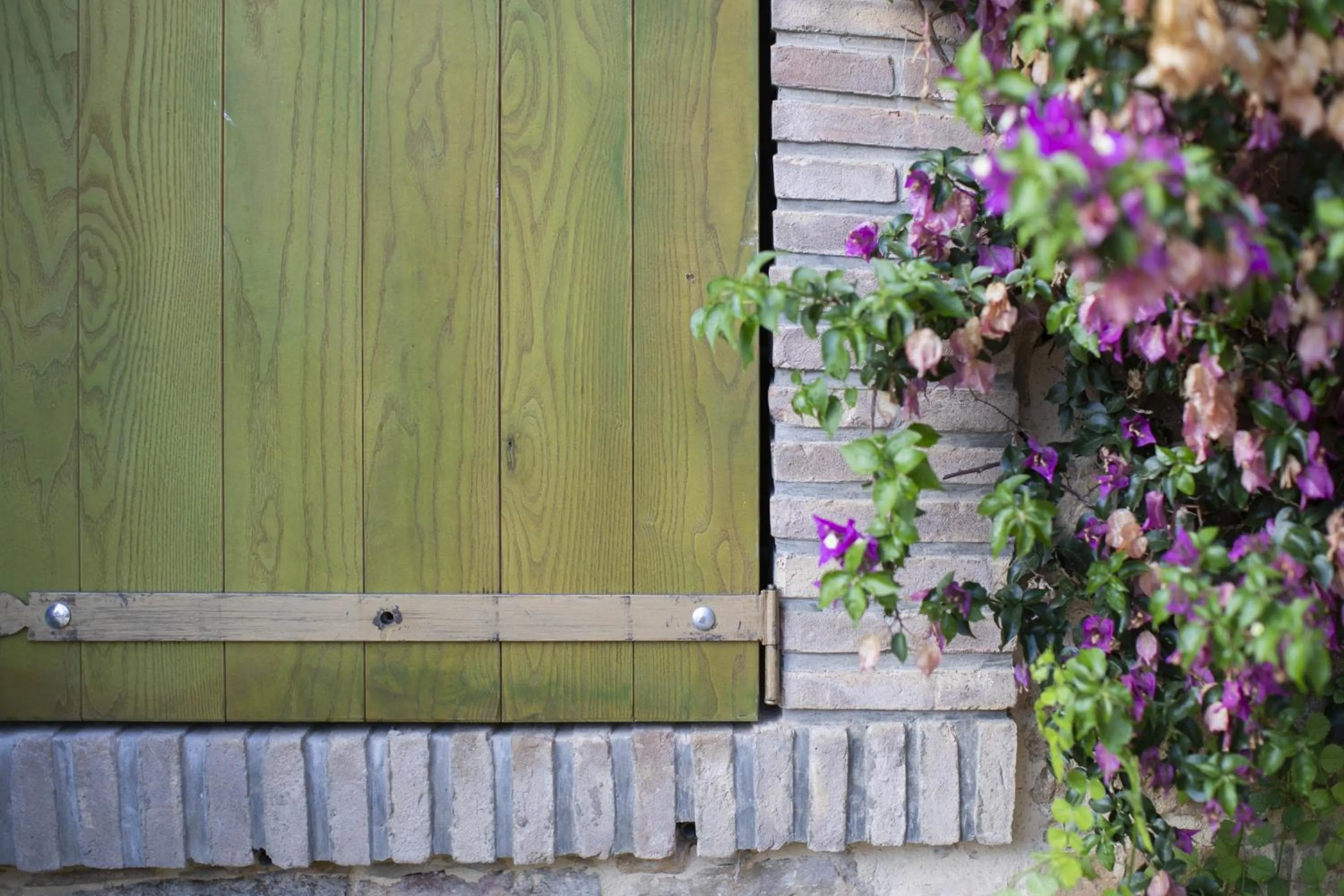 Facade/entrance in Leano Agriresort