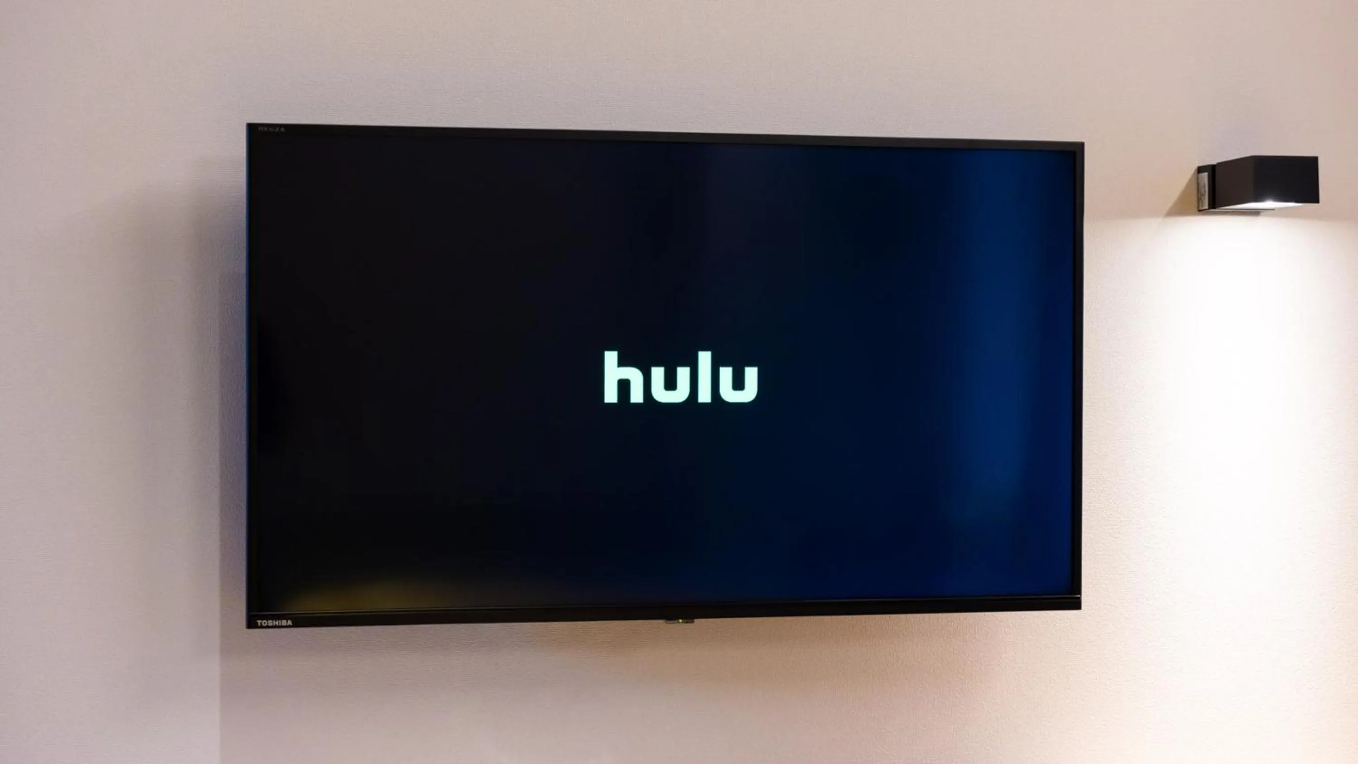 TV and multimedia in Hotel Dorf Shizuoka