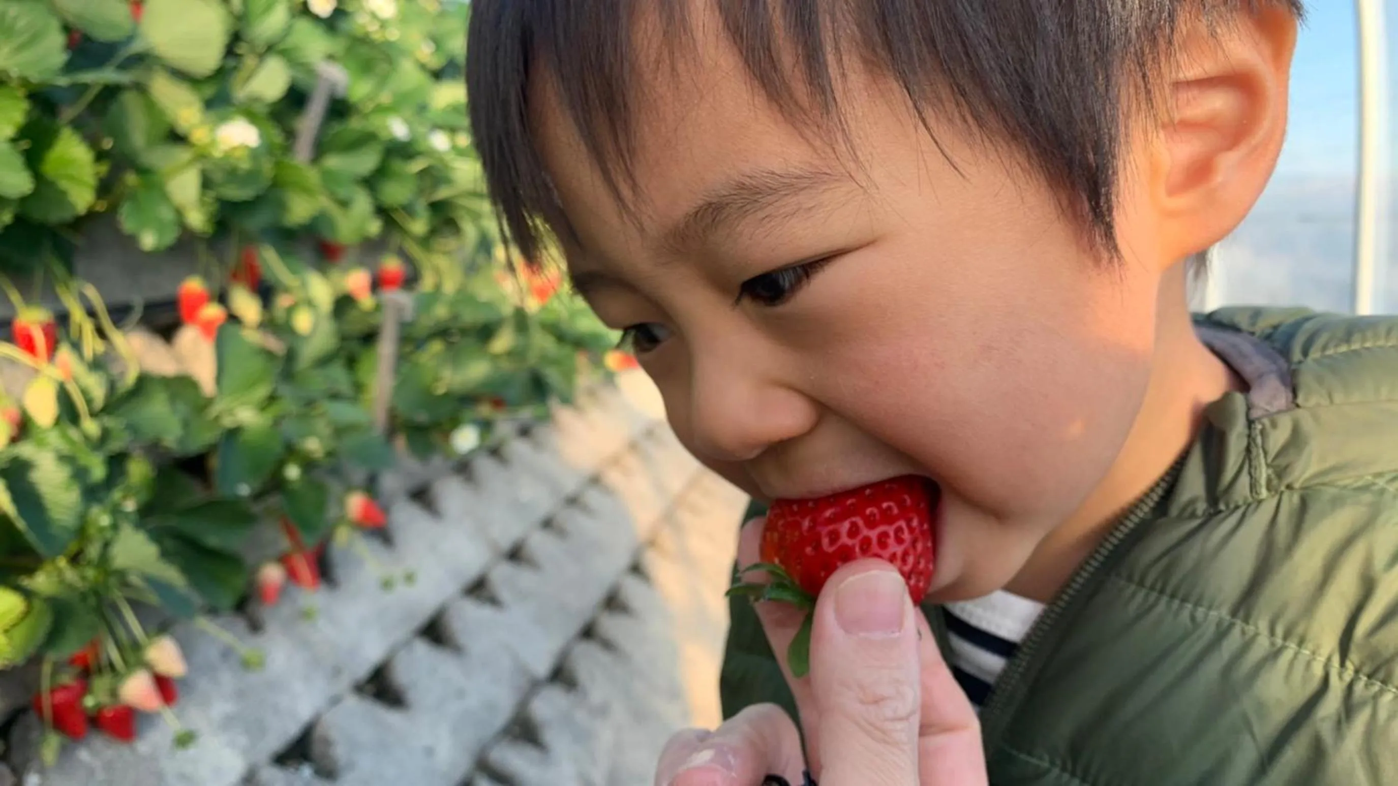 Nearby landmark in Hotel Dorf Shizuoka