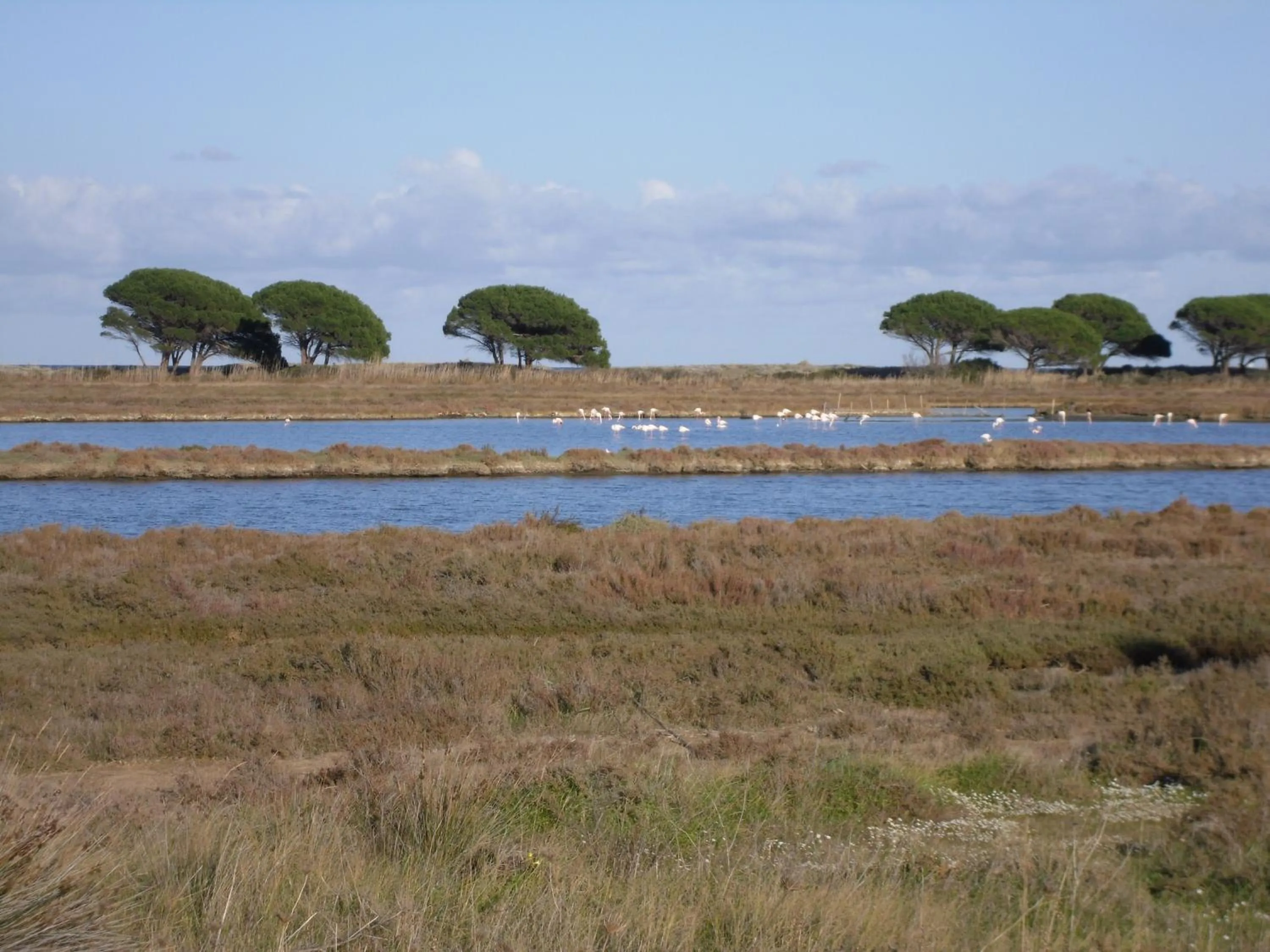 Activities in B&B La Collina