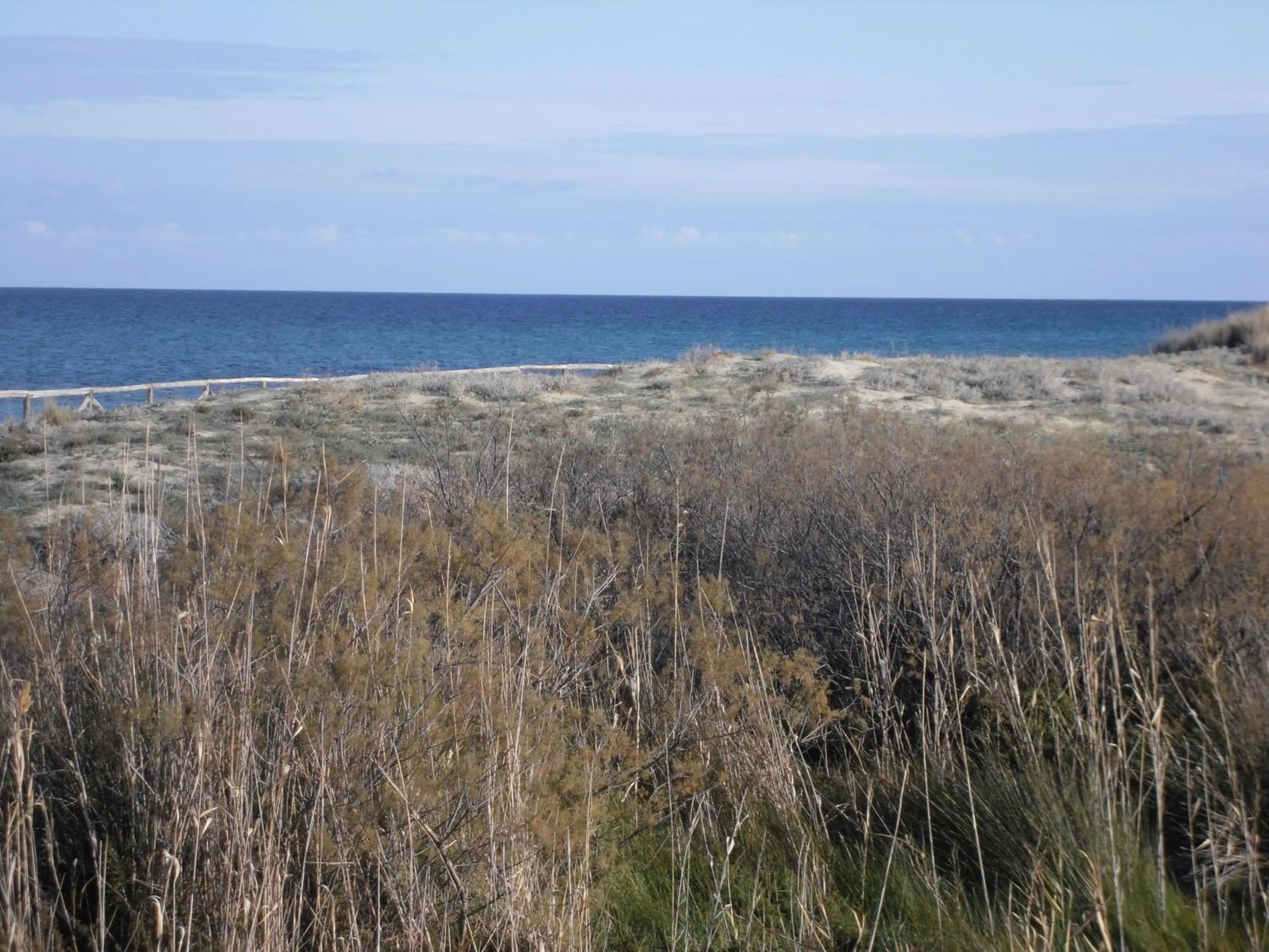 Beach in B&B La Collina