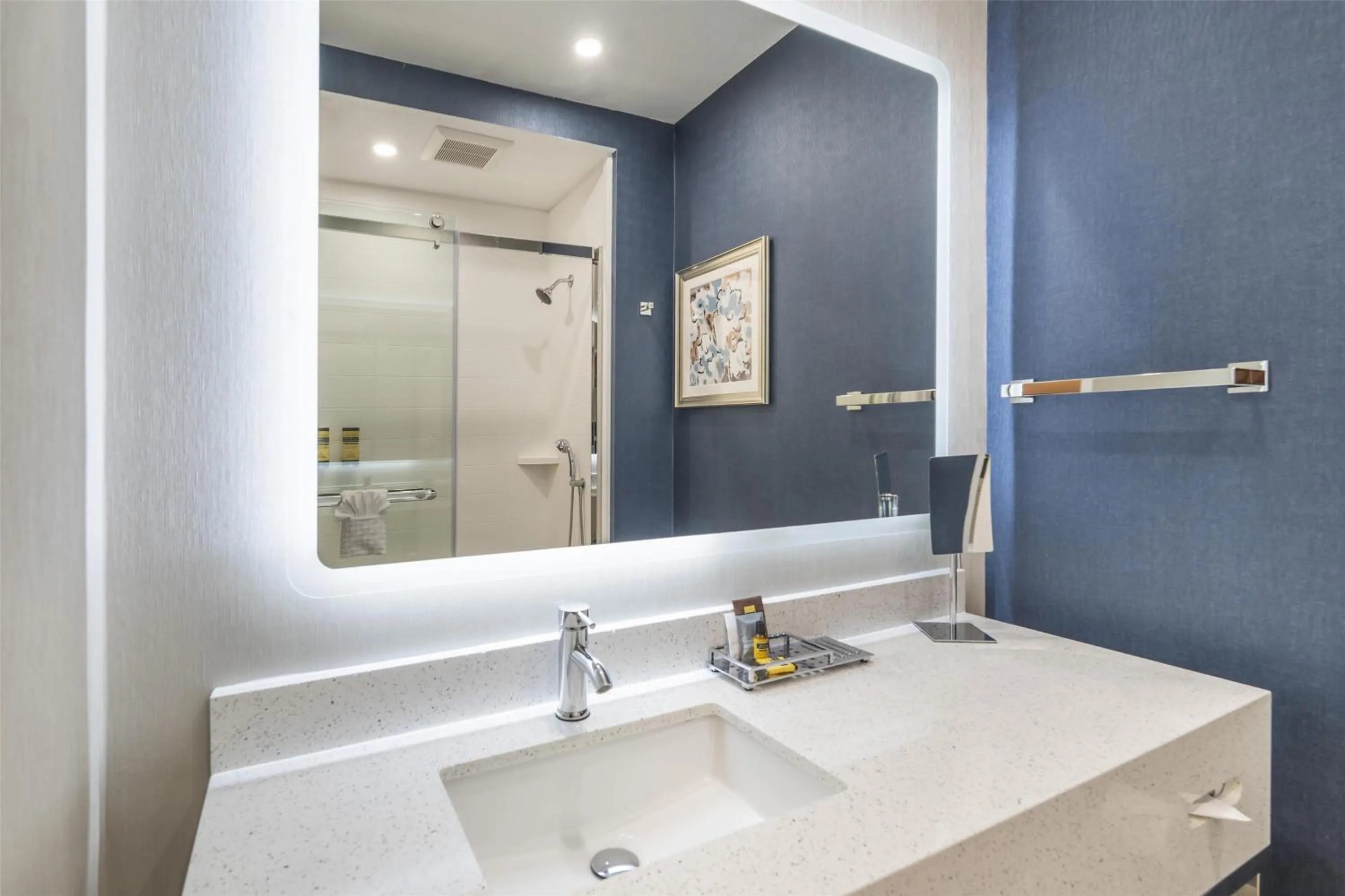 Bathroom in Best Western Plus Hotel at the Convention Center