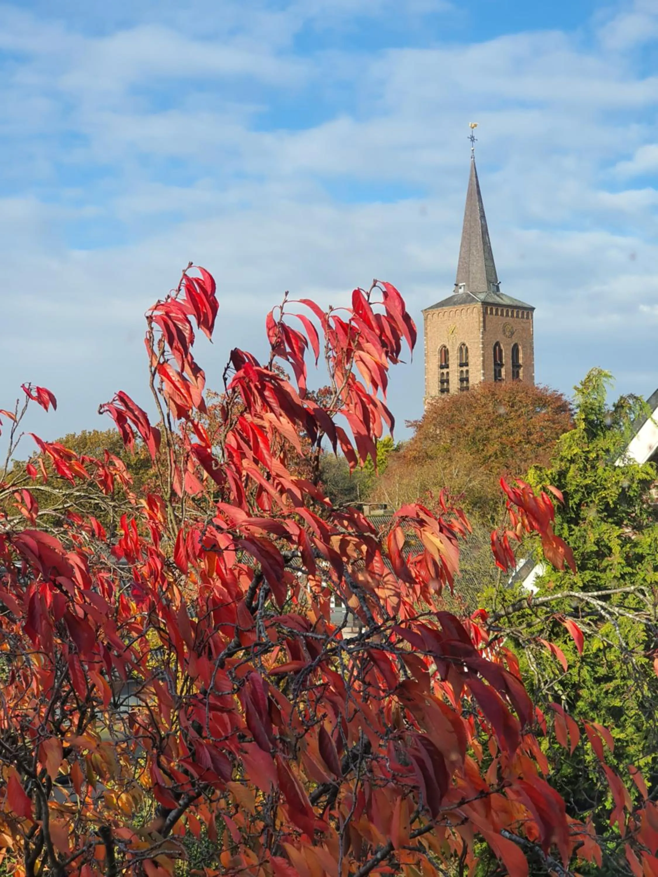View (from property/room) in B&B MaasLandje