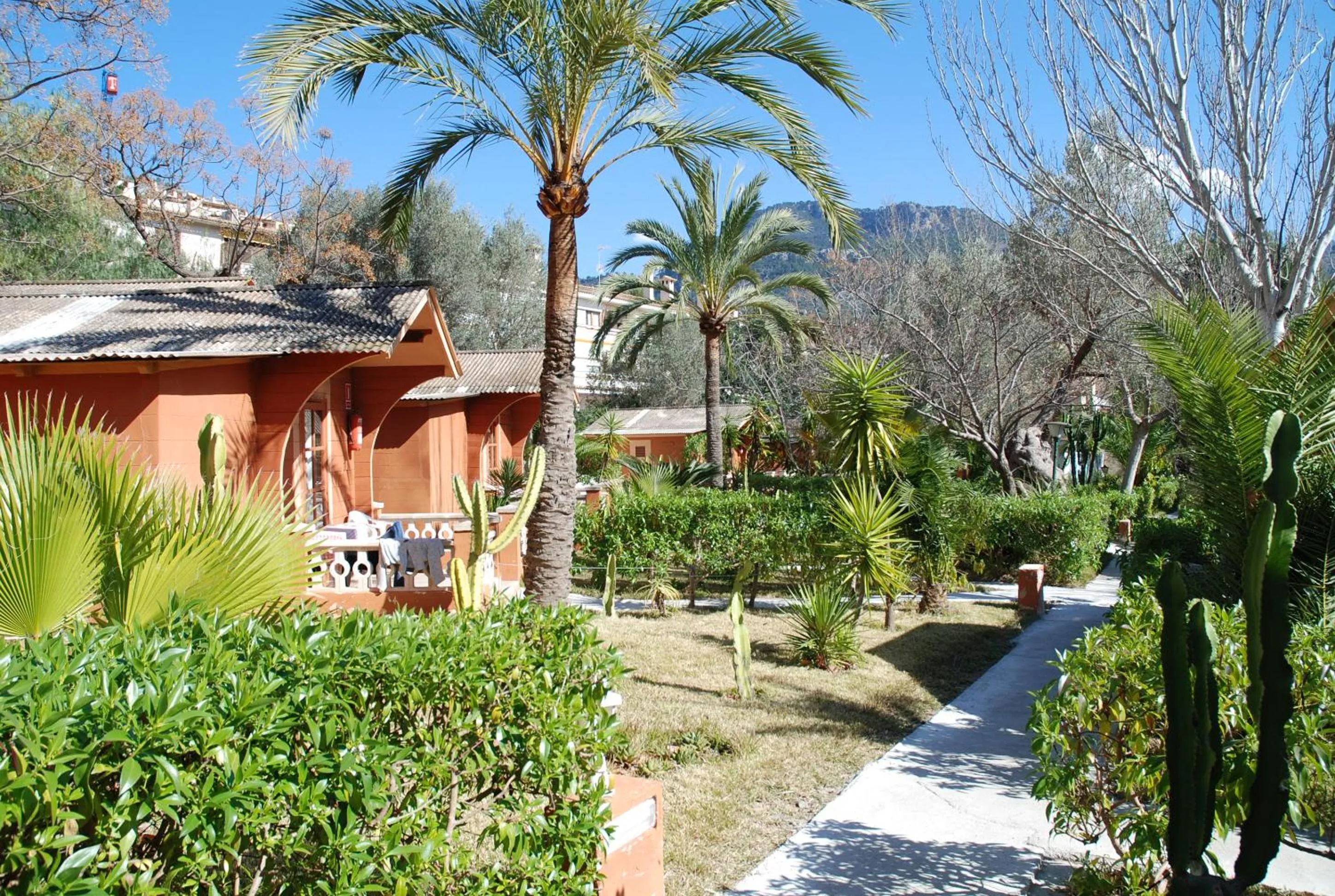 Garden in Soller Garden