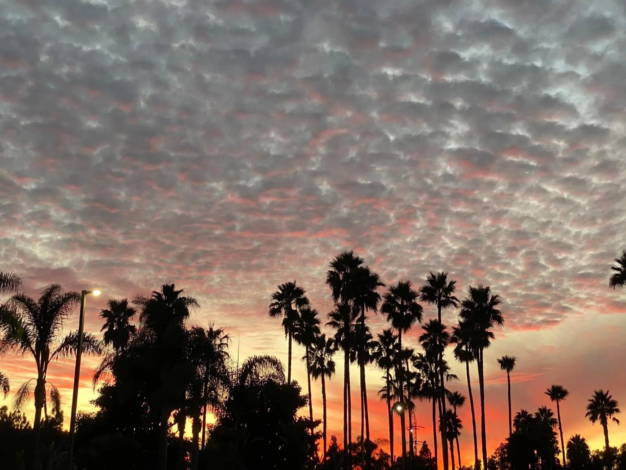 Nearby landmark in Holiday Inn Express Hotel & Suites Carlsbad Beach by IHG