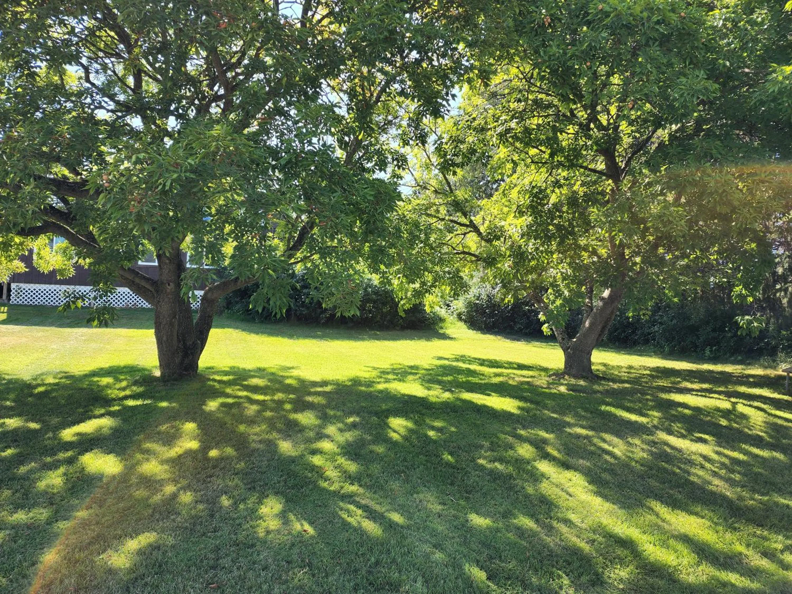 Natural landscape in Blue Moon Resort & Motel