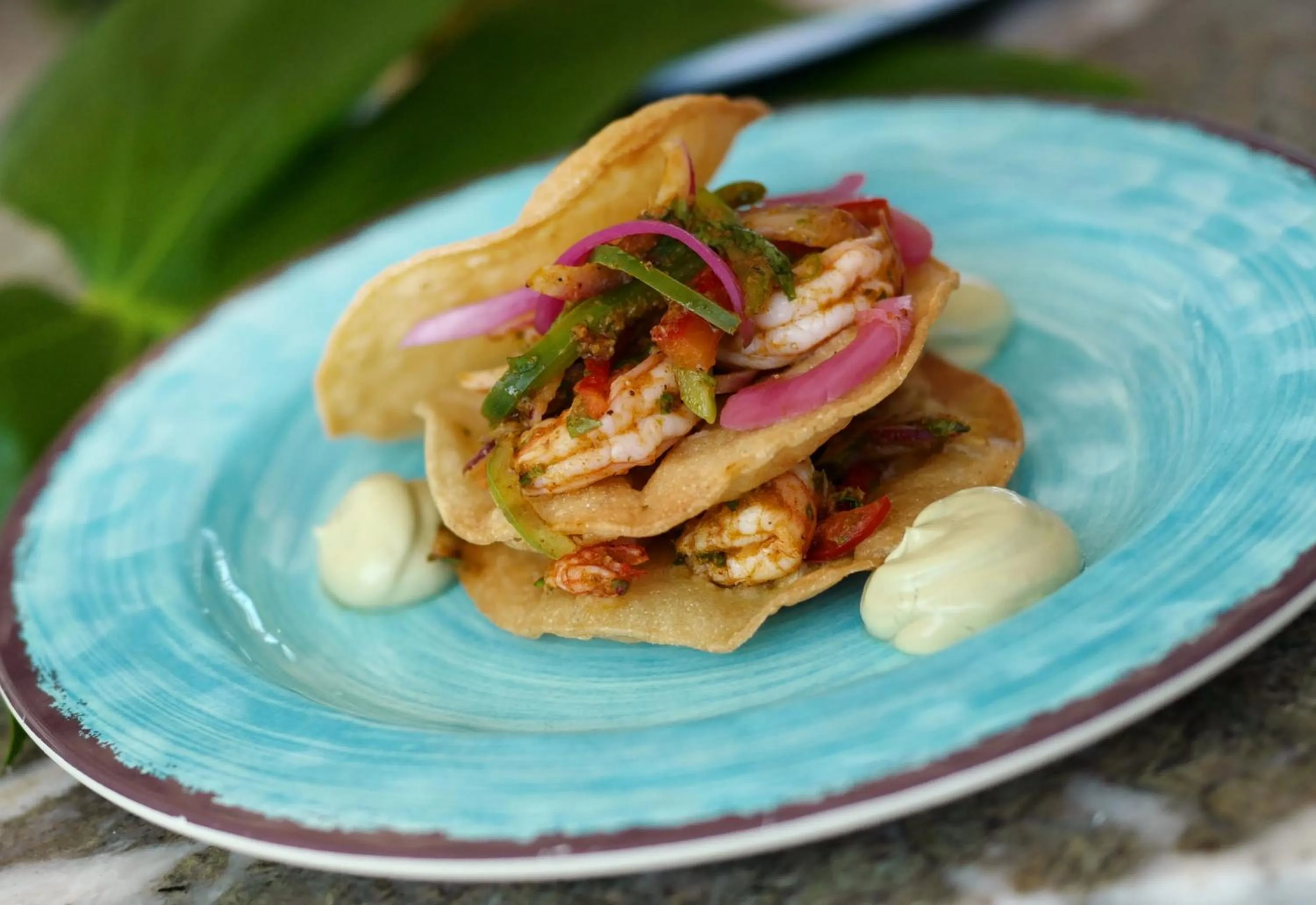 Food and drinks in Ocean Key Resort & Spa, a Noble House Resort