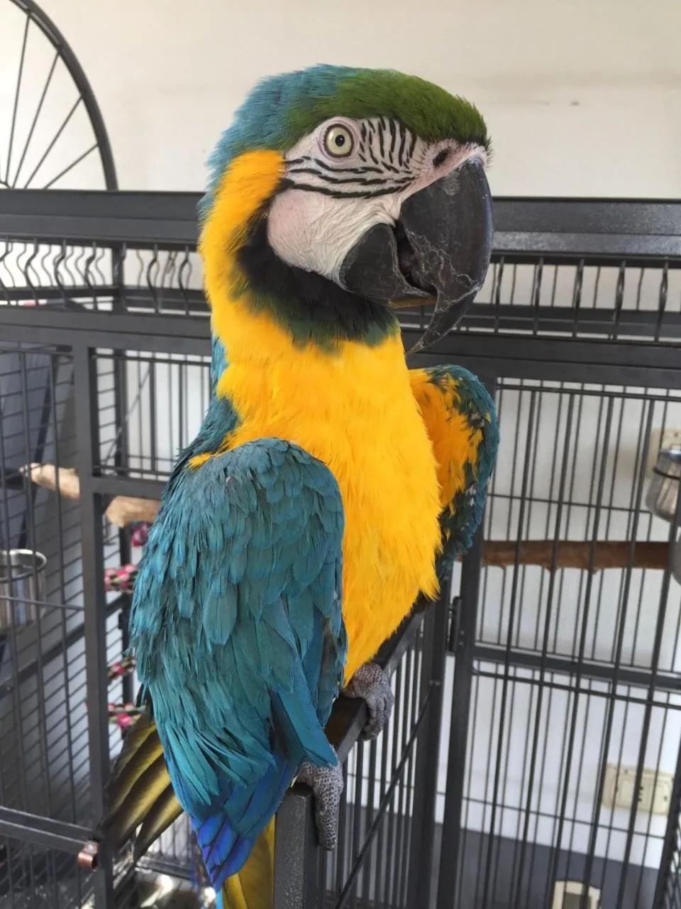 Spring in Eden Park Hotel