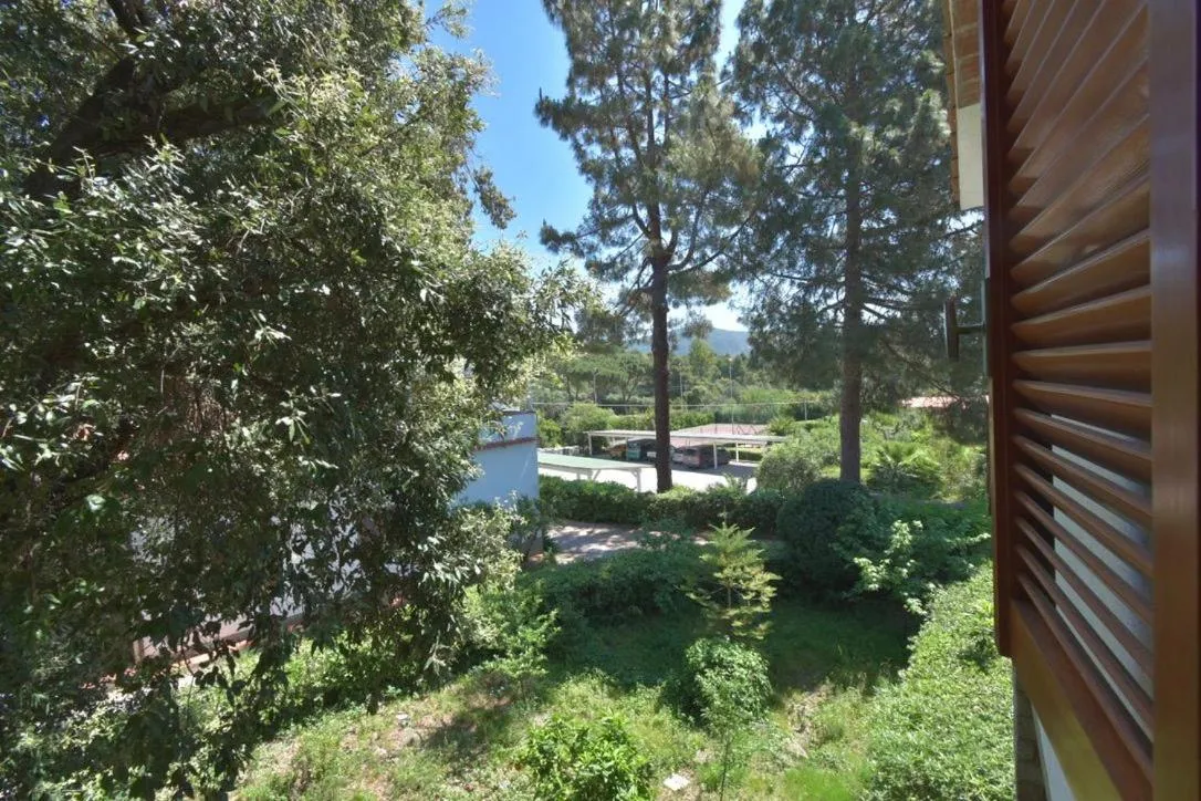 Day in Eden Park Hotel