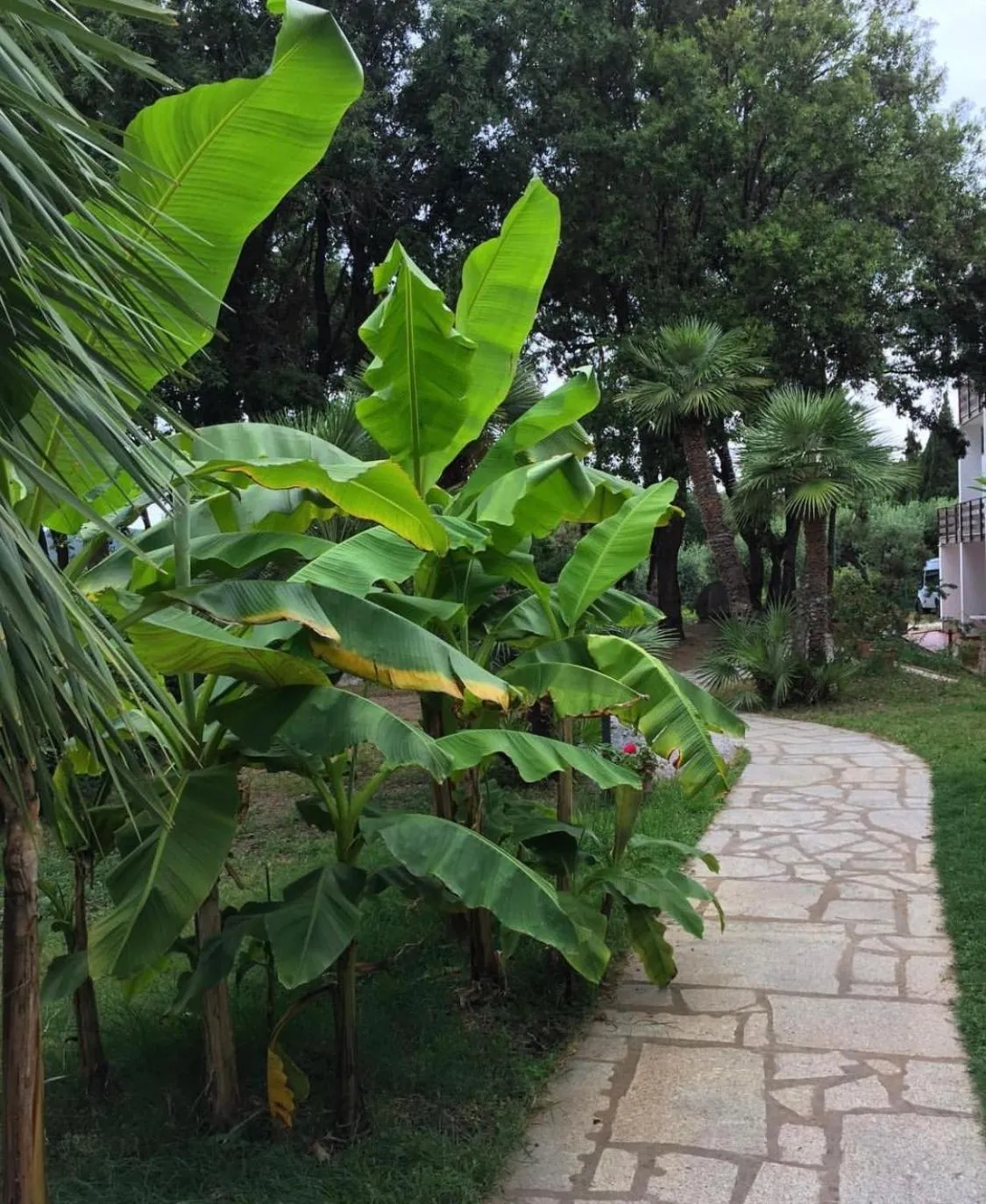 Spring in Eden Park Hotel