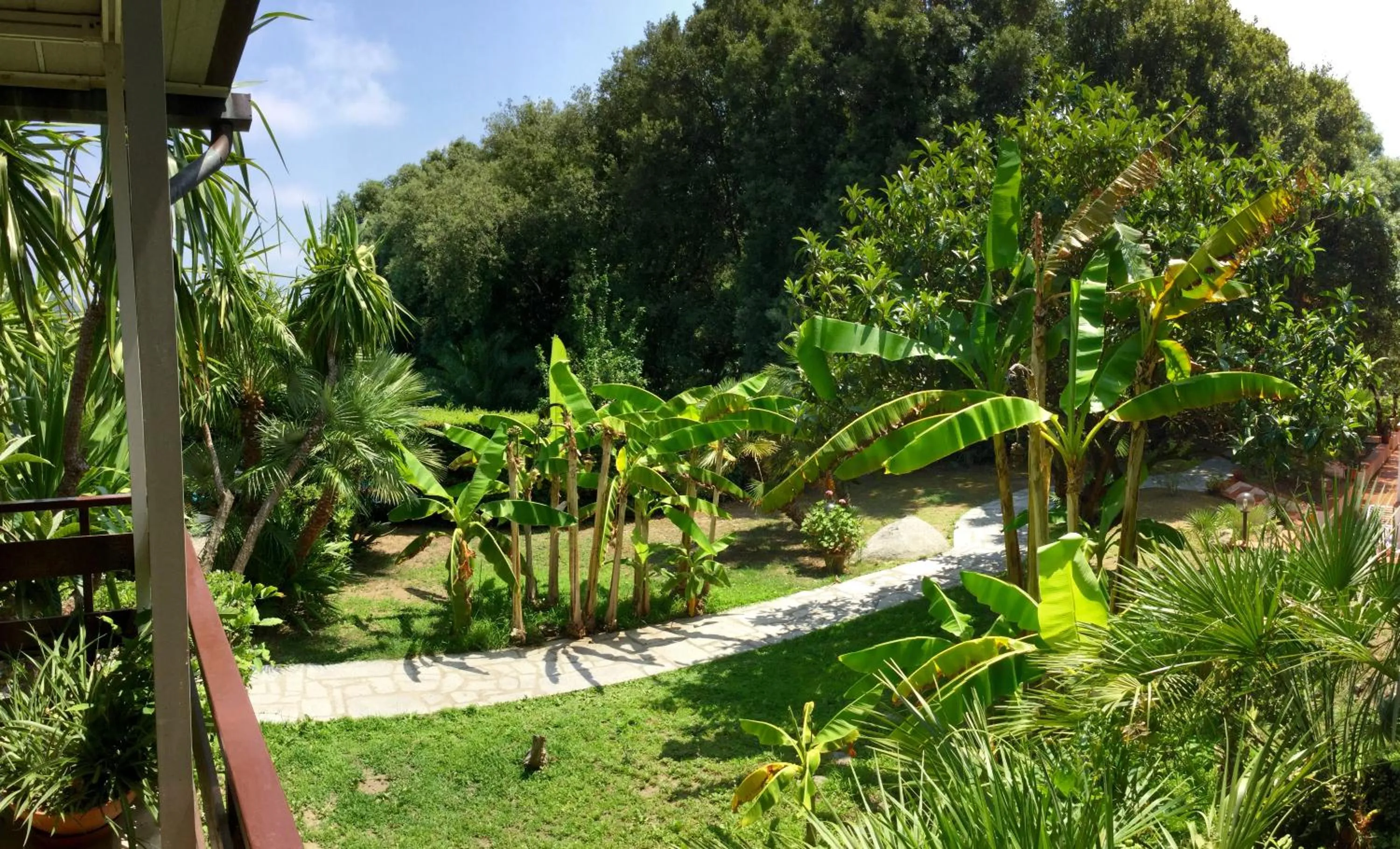 Garden in Eden Park Hotel
