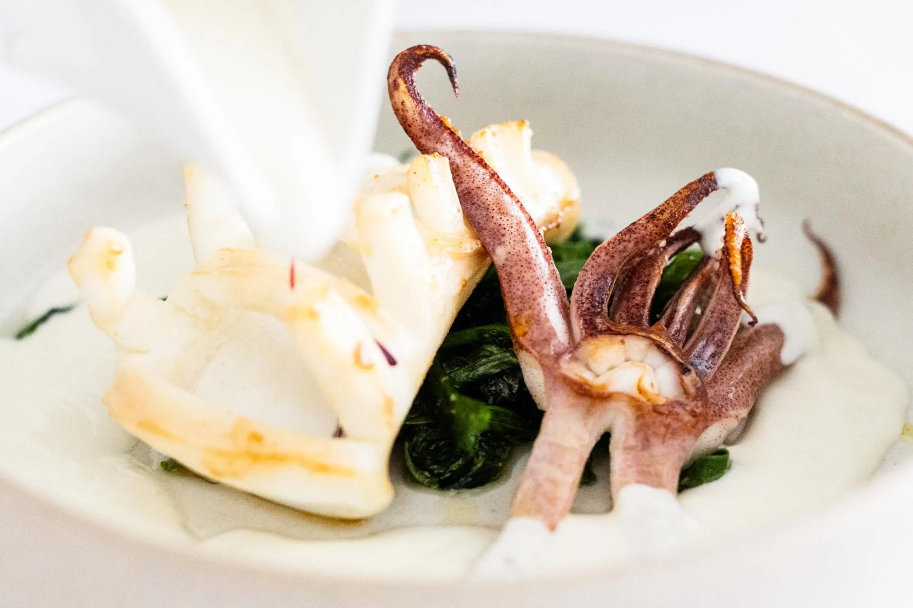 Hotel Ristorante Montuori