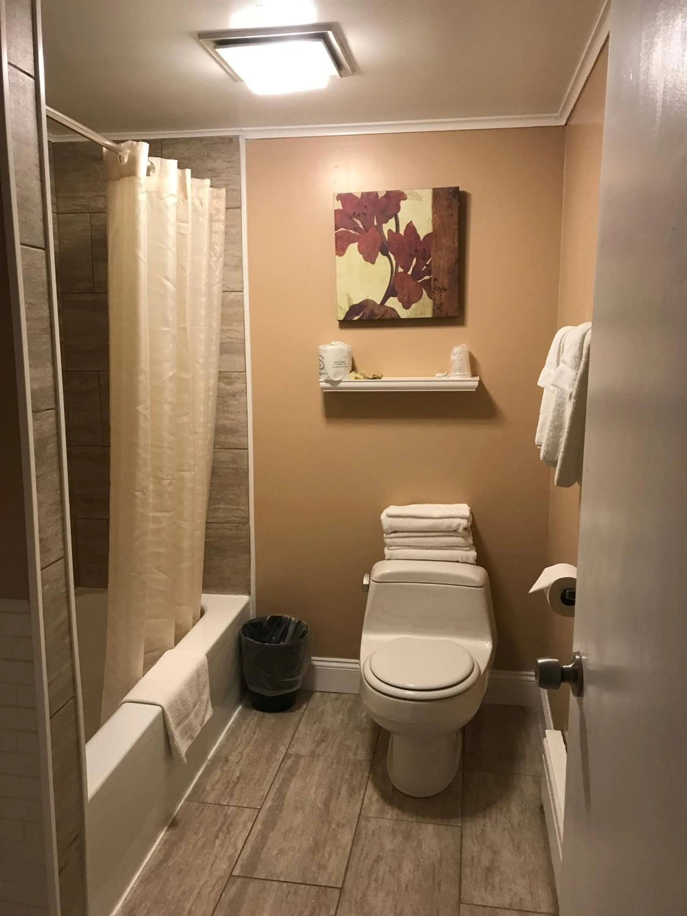 Bathroom in Moonlite Motel